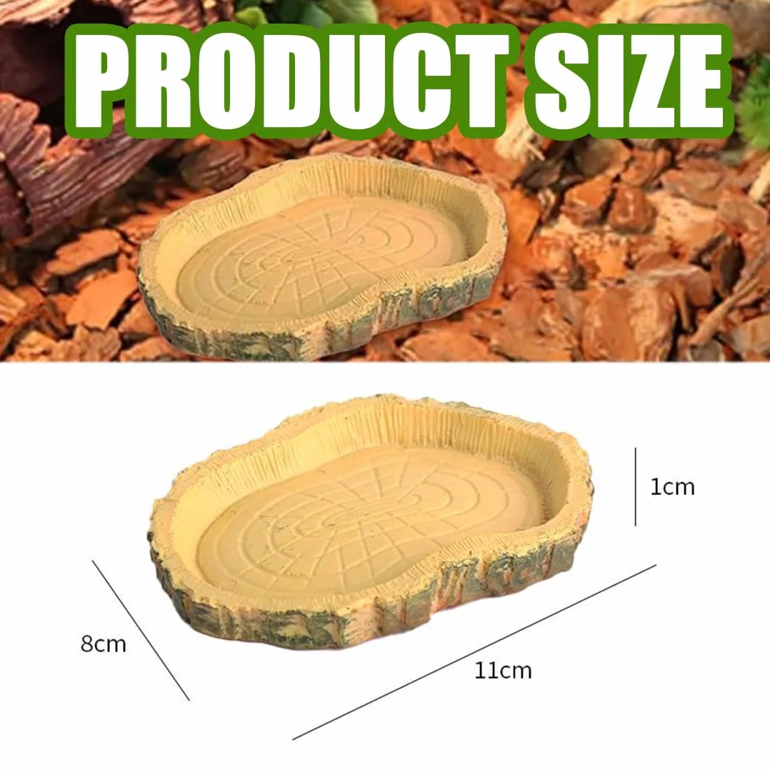 Bol d'Alimentation pour Reptiles 2 pièces Nourriture Tortue en Feuilles