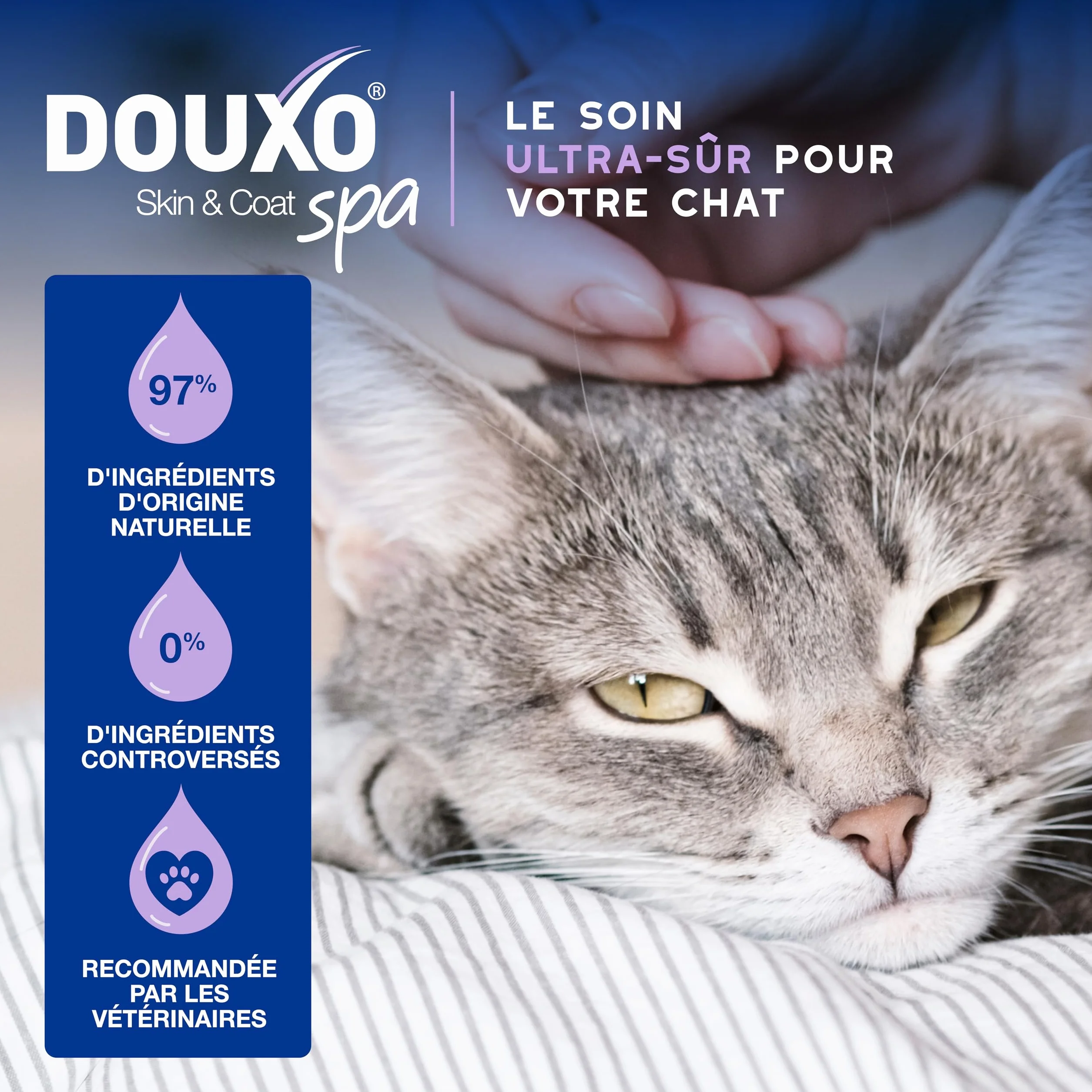 DOUXO Skin & Coat Spa Mousse sans rinçage pour Chat 150 ML nettoie rafraîchit Poil Doux Brillant