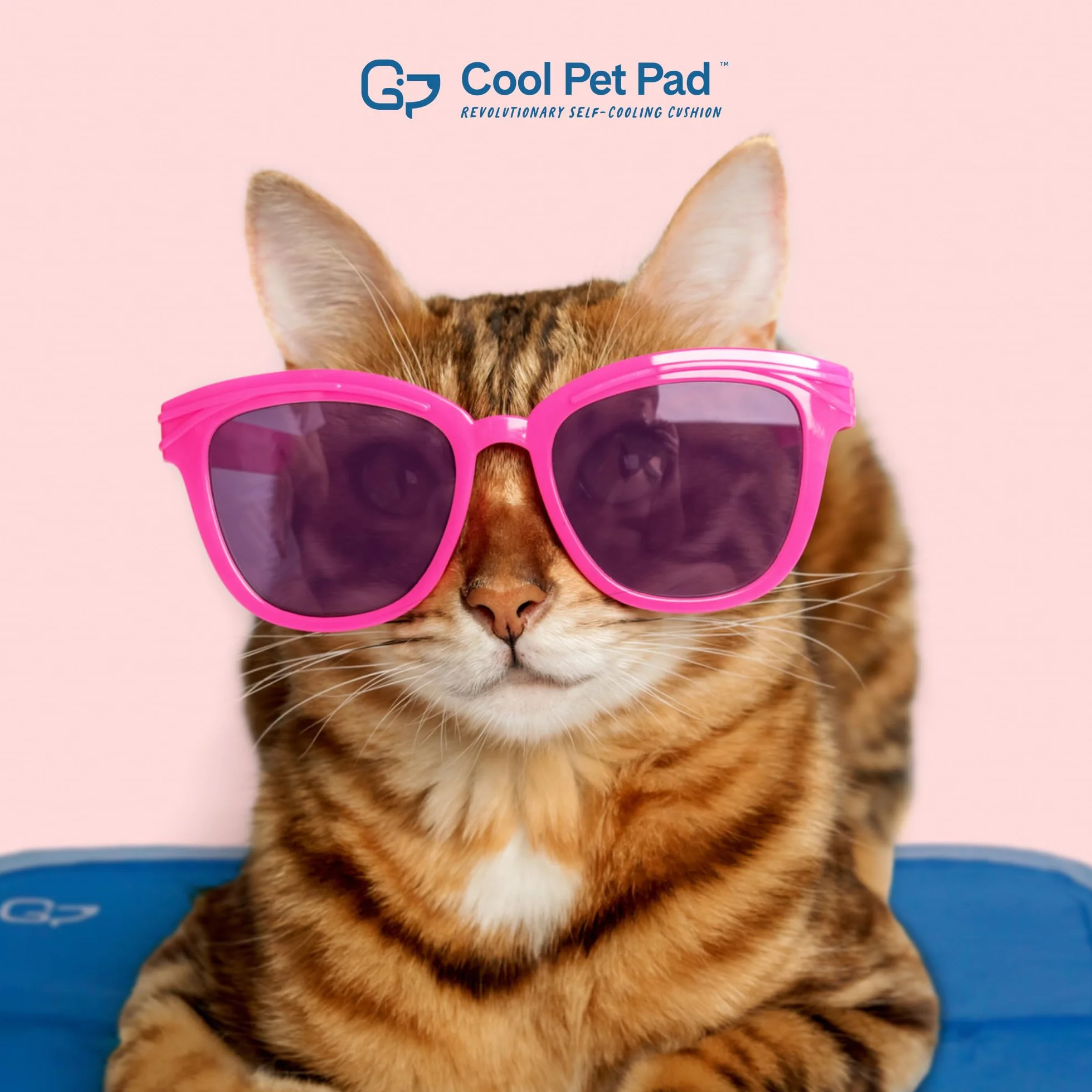 THEGREENPETSHOP - Cool Pet Pad – Tapis Auto-refroidissant, à Activation par Pression, pour Chiens et Chats de 9,5 à 20,4 kg, en Gel Non Toxique, Pas Besoin d’Eau