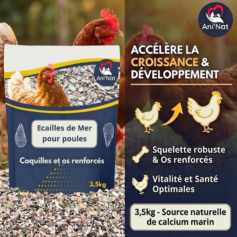 Ani'Nat Ecailles de mer pour Poules Pondeuses et Pigeons Minéraux Calcium Coquilles Solides 3,5kg