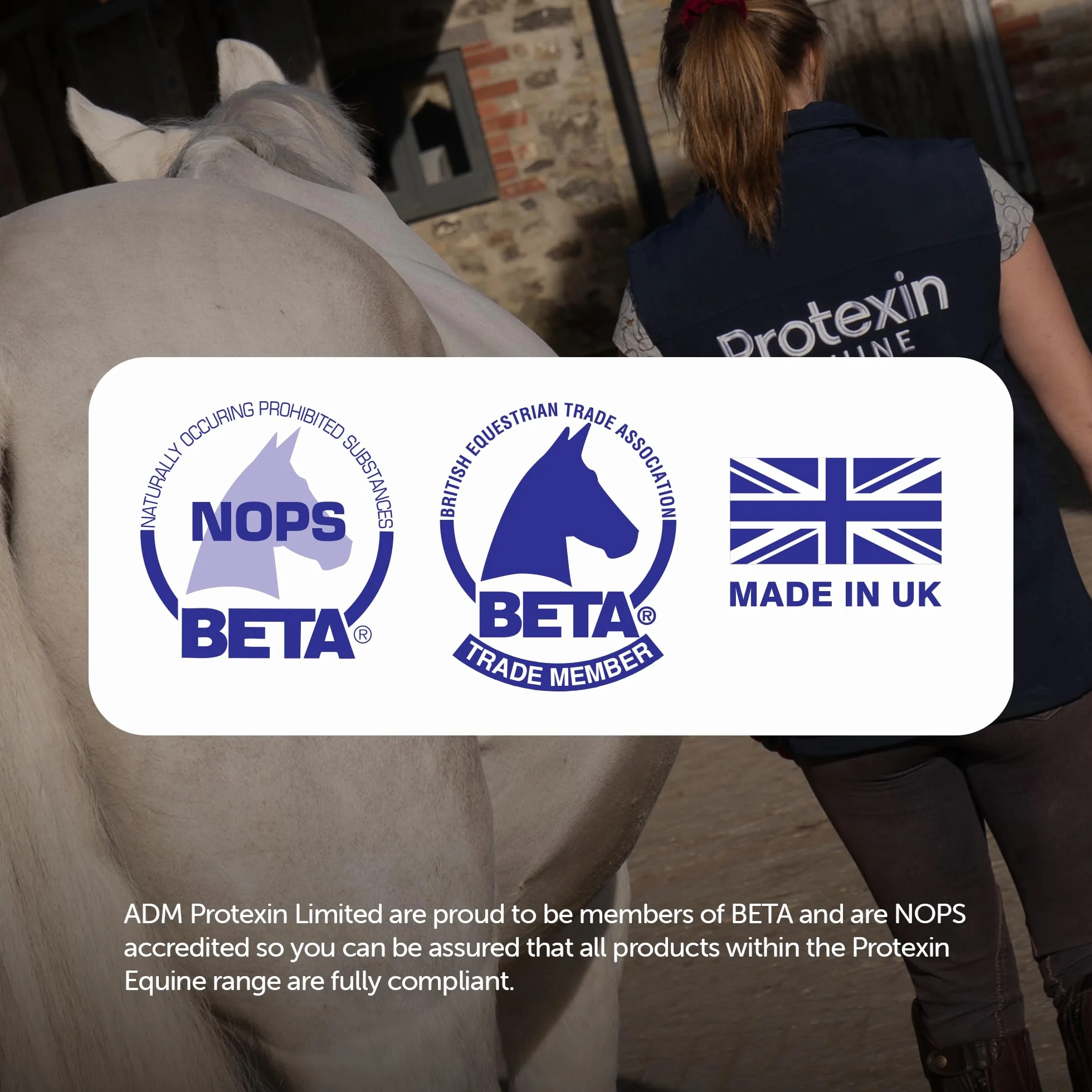 Protexin Equine Premium Gut Balancer 400g