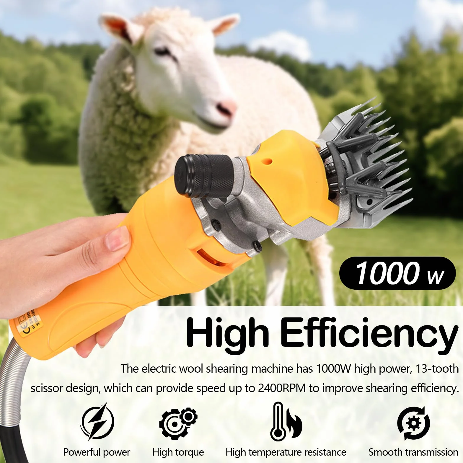 Tondeuse à Moutons 1000W Électrique, 13 Dents 2400 Tr/min, Cordon 2.8m pour Moutons Chèvres Alpagas