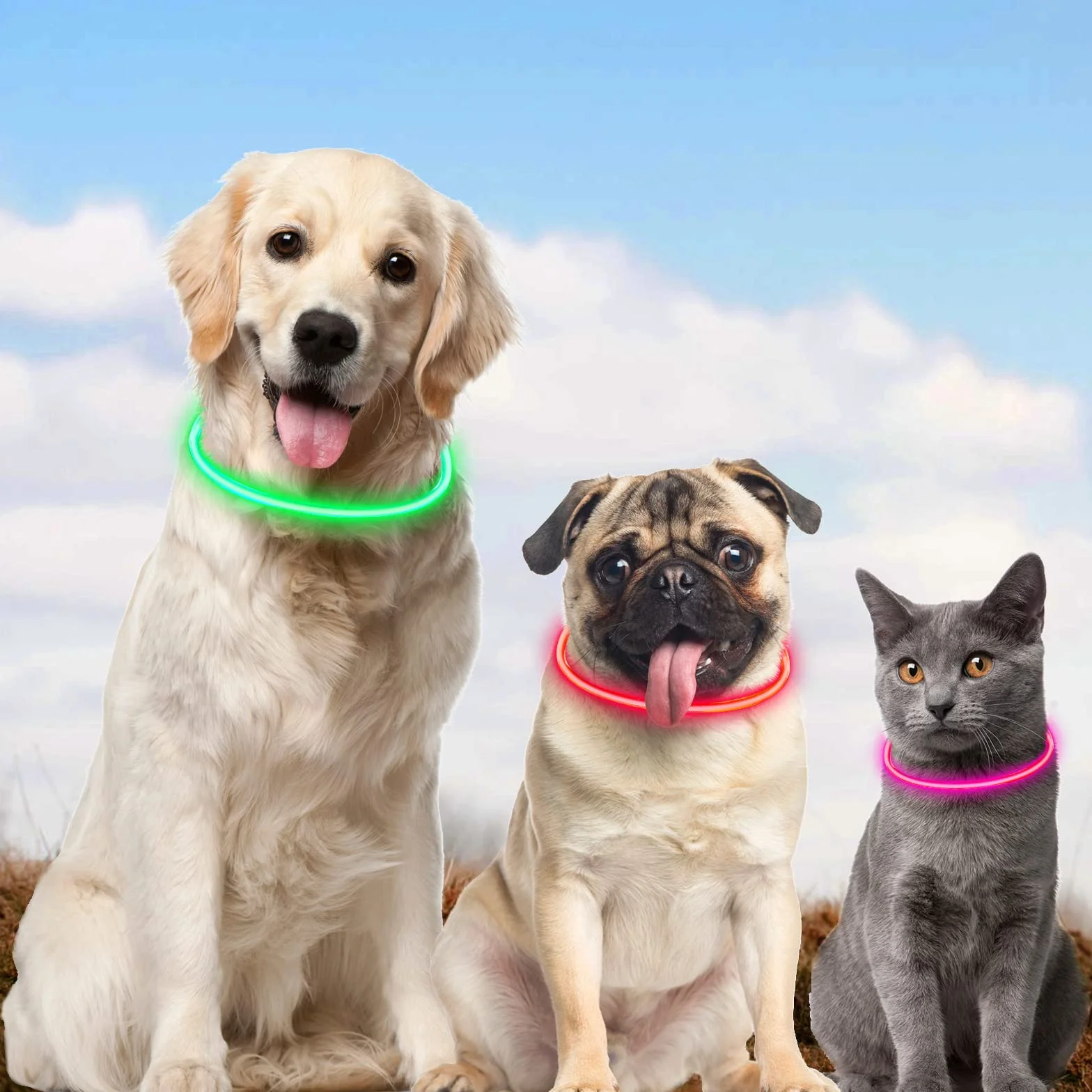 Collier lumineux à LED pour chien rechargeable USB longueur réglable étanche 3 modes vert