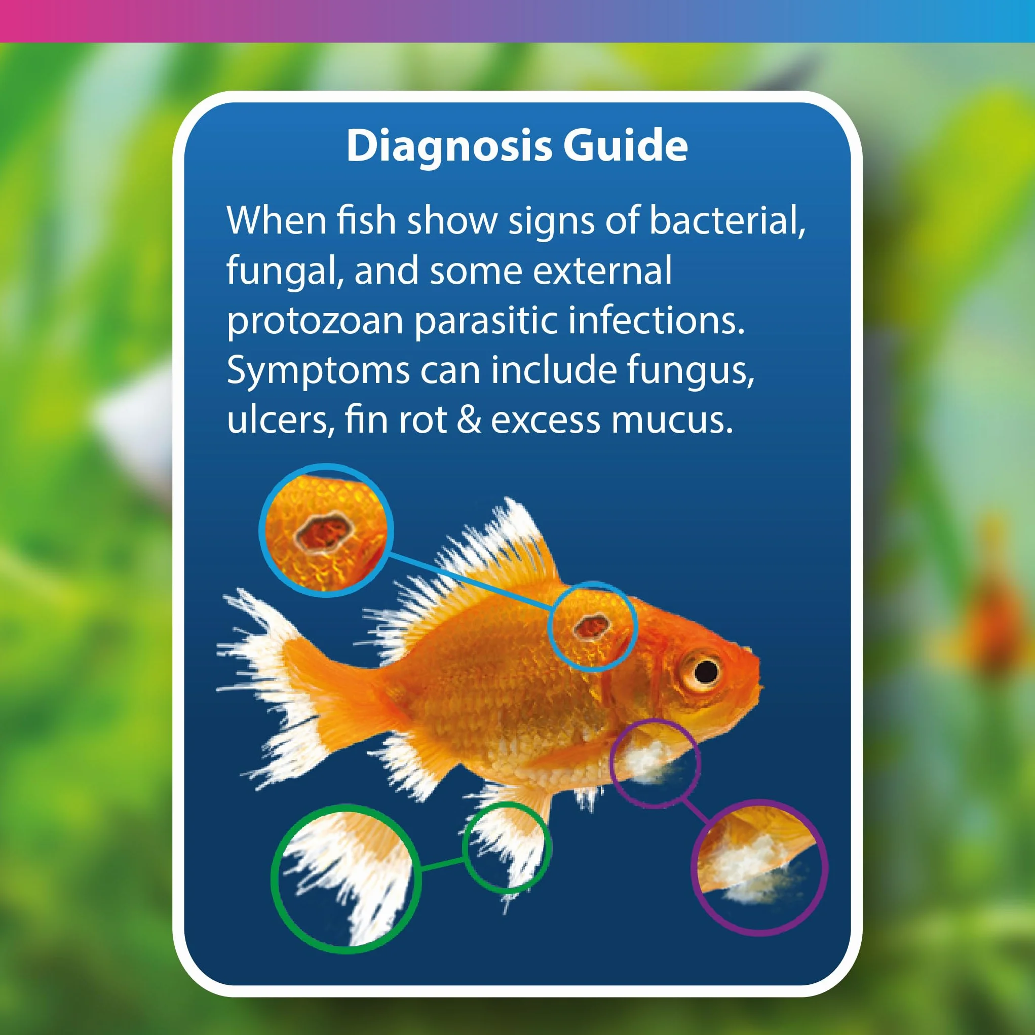 NT Labs Bleu de méthylène médicament aquarium infections parasitaires bactériennes fongiques poissons œufs