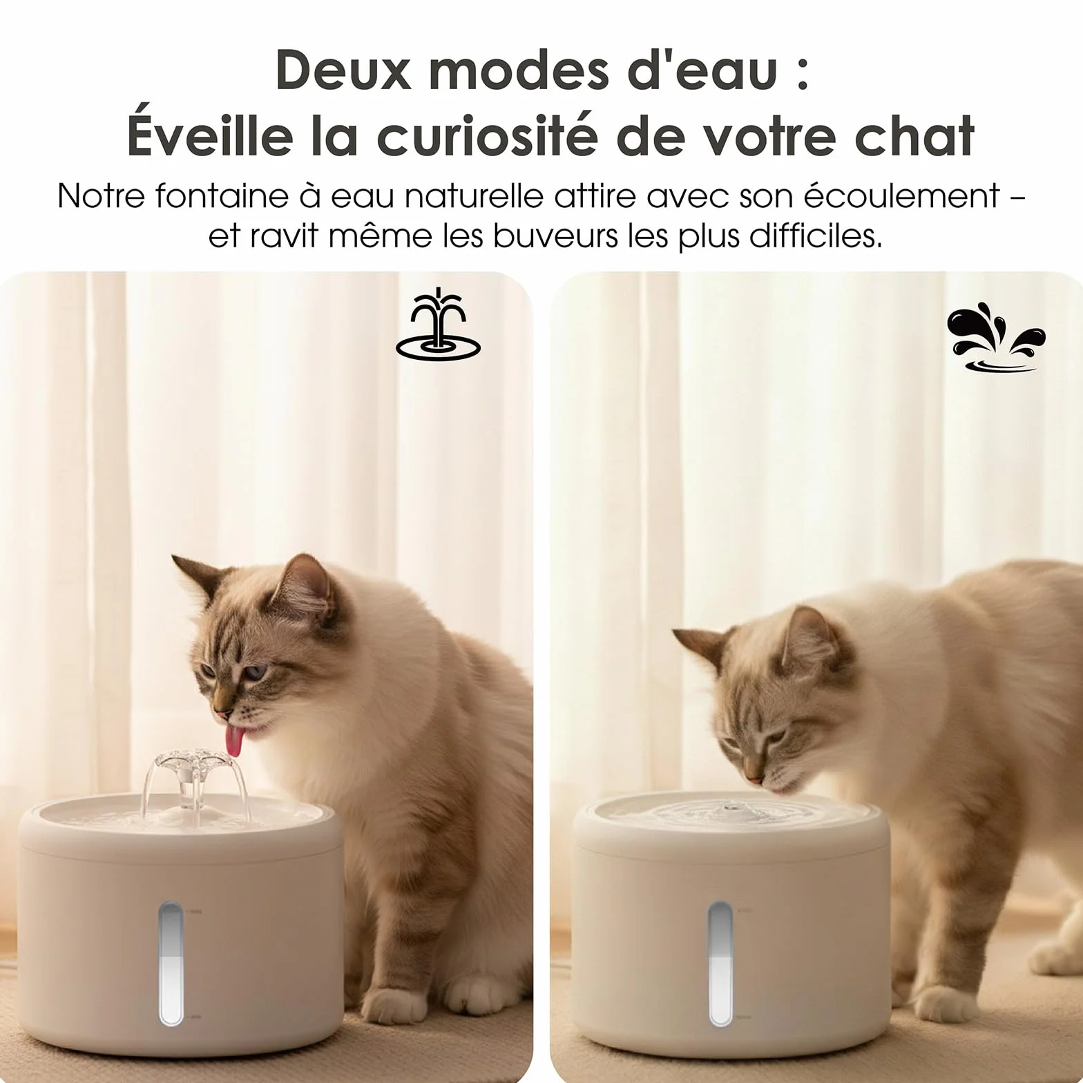 Fontaine à Eau Chat 2,5L Grande Capacité Ultra Silencieuse 8dB 6 Filtres Multi-Niveaux Distributeur Eau Chat ABS