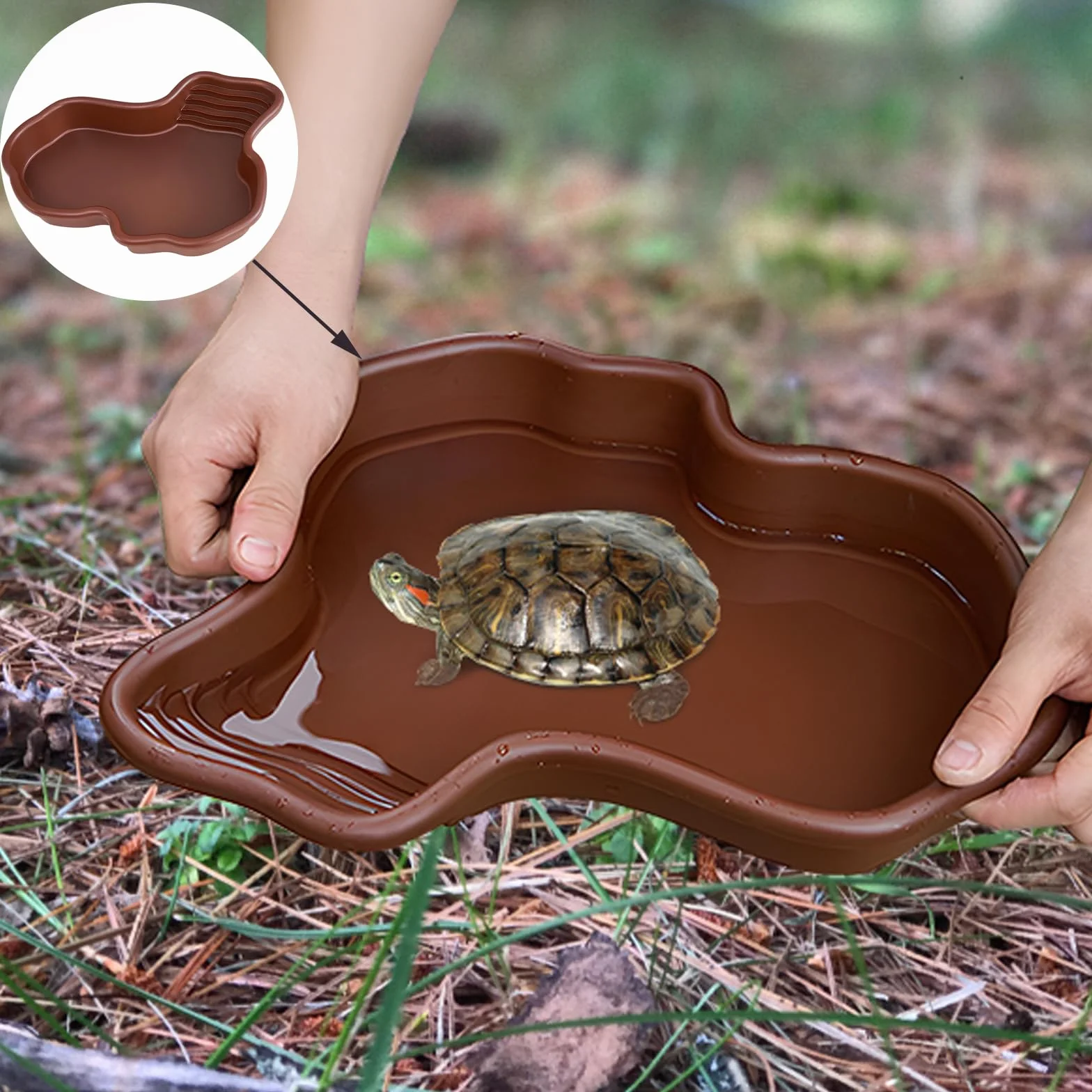 Bol de Bain pour Tortues Reptiles Grand Plat d'Eau Amphibiens