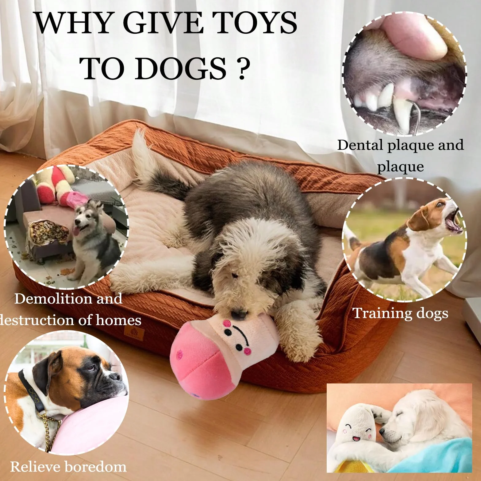 Lot de 7 Jouets Couineurs pour Chien, Jouets Fruits et Légumes pour Petit ou Moyen Chien