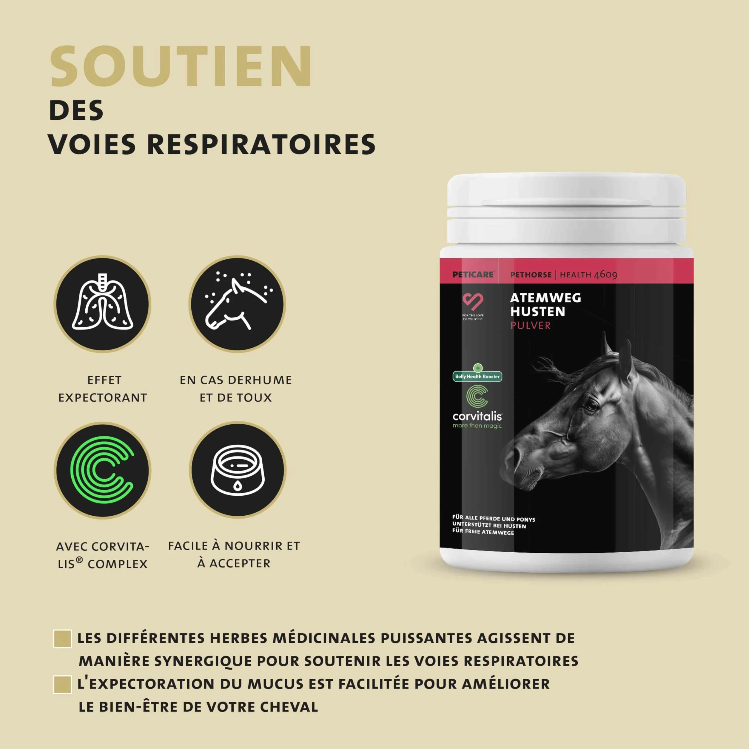 Peticare Poudre Contre la toux pour Chevaux | Soutient Voies respiratoires & rhume | Dissolution Mucus | Formule Naturelle Poudre d'herbes sans OGM
