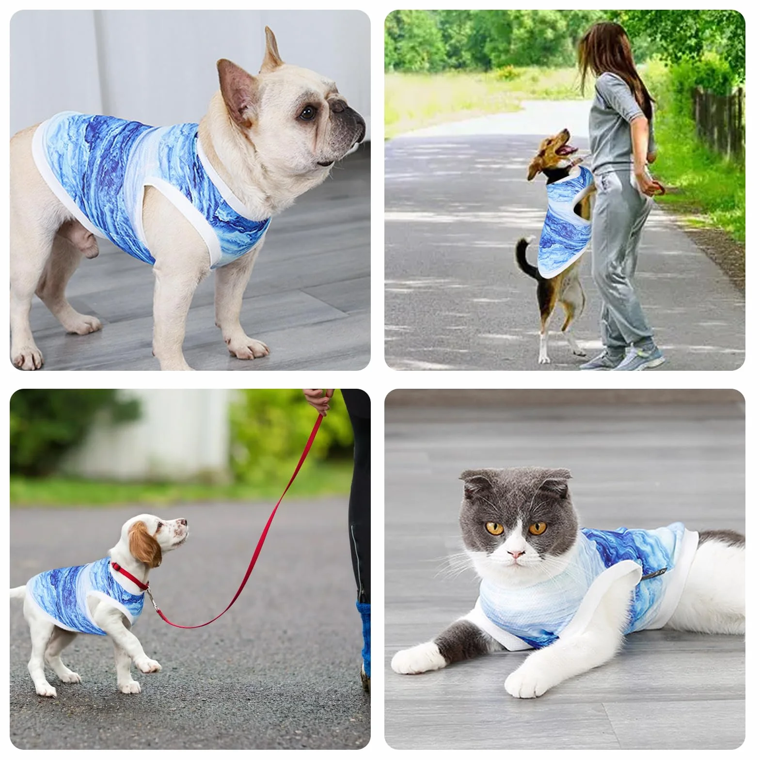 Gilet Rafraîchissant pour Chien, Veste de Refroidissement Respirante Manteau Protection Contre Le Soleil Activités Extérieures