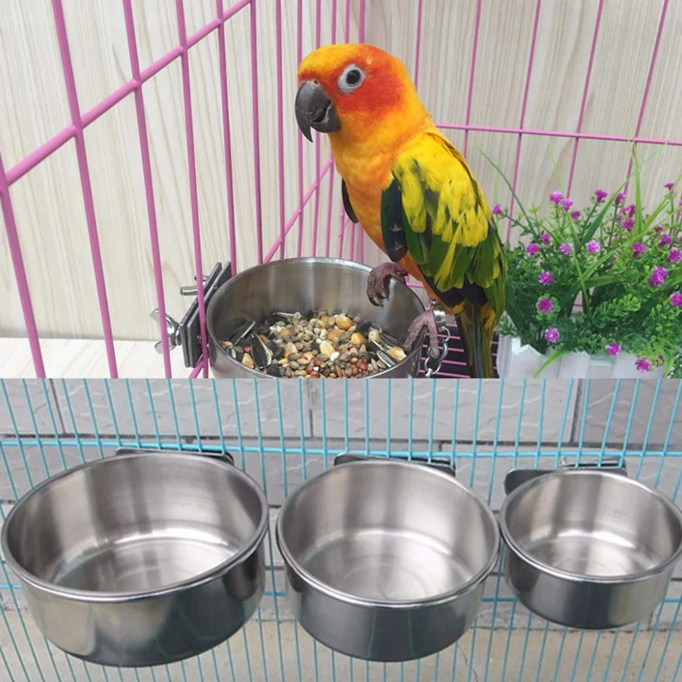 Bol d'alimentation pour Oiseaux Mangeoire Perroquet en Acier Inoxydable 10cm