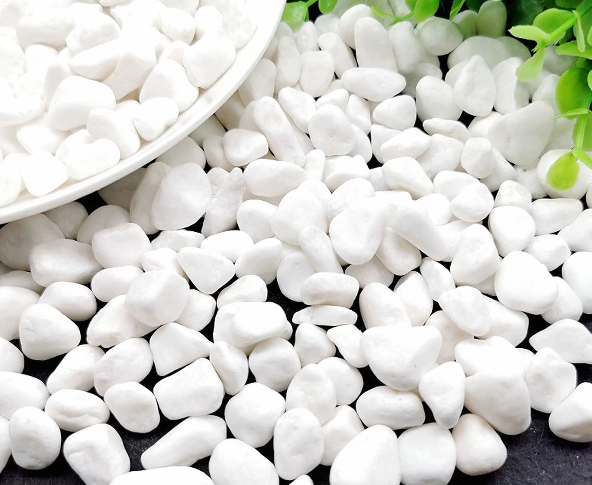 Gravier Aquarium Naturel Blanc 900g – Décoration Jardin Plante Tortue