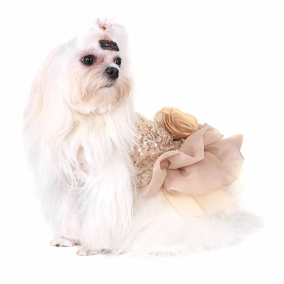 Costume de Chien Sequin Tutu Jupe Élégant pour Petits Chiens (Gold L)