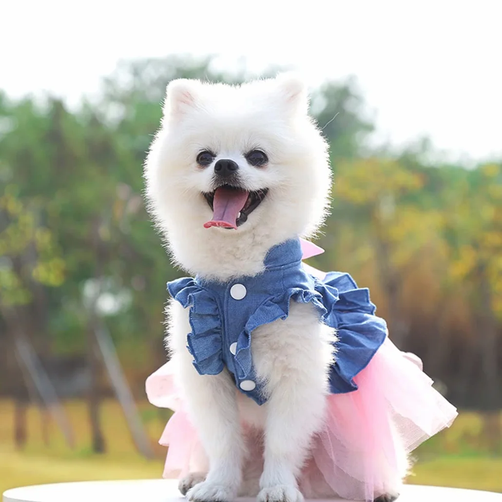 XIAOYU Chien Robe d'été Bowknot Princesse Jupe Denin Gilet Chemises Douce Vêtements pour Animaux de Compagnie Rose XL