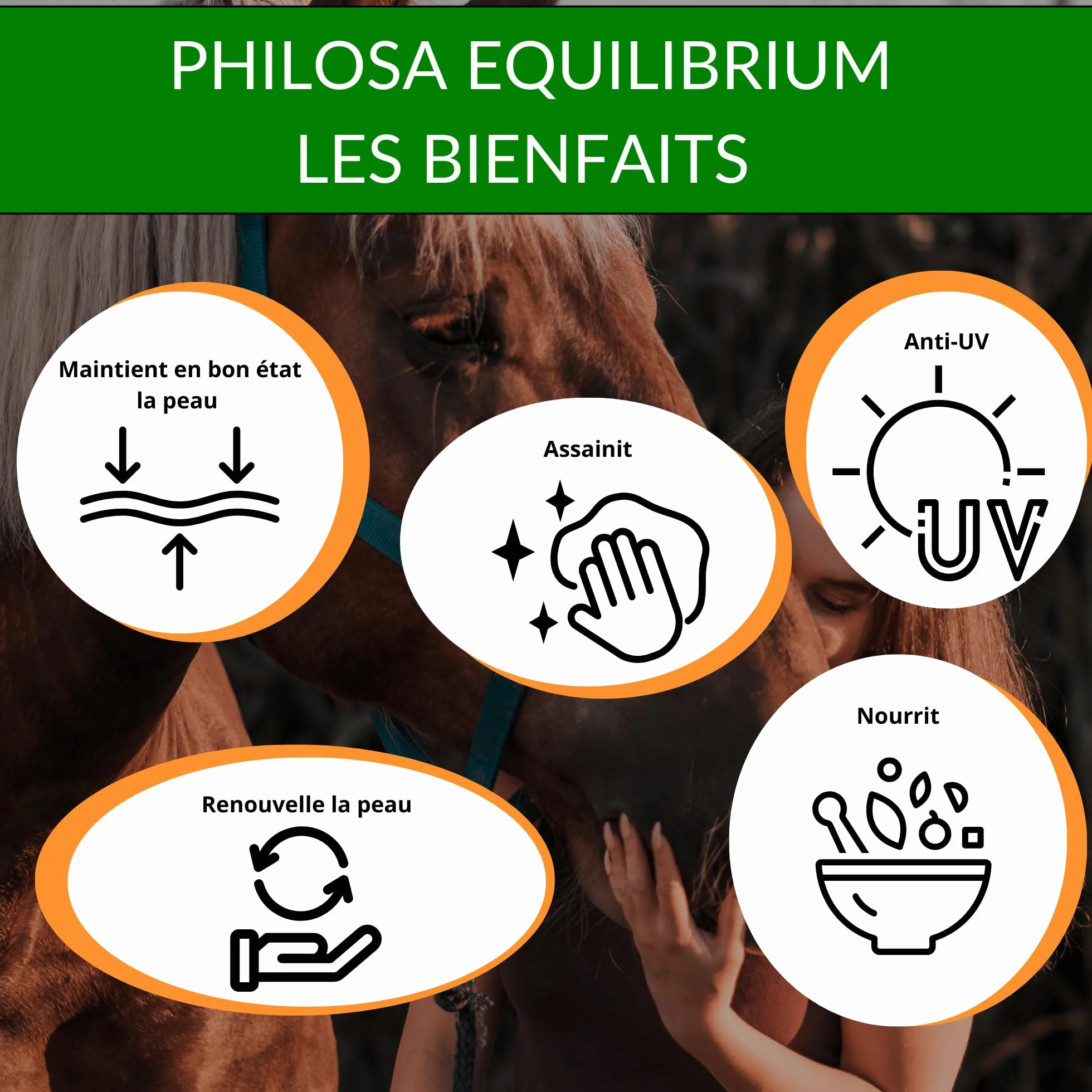 Philosa Equilibrium Soin Naturel Peaux Abimées Chevaux Calendula Tea Tree Lavande Origan Huile de Cade 250mL