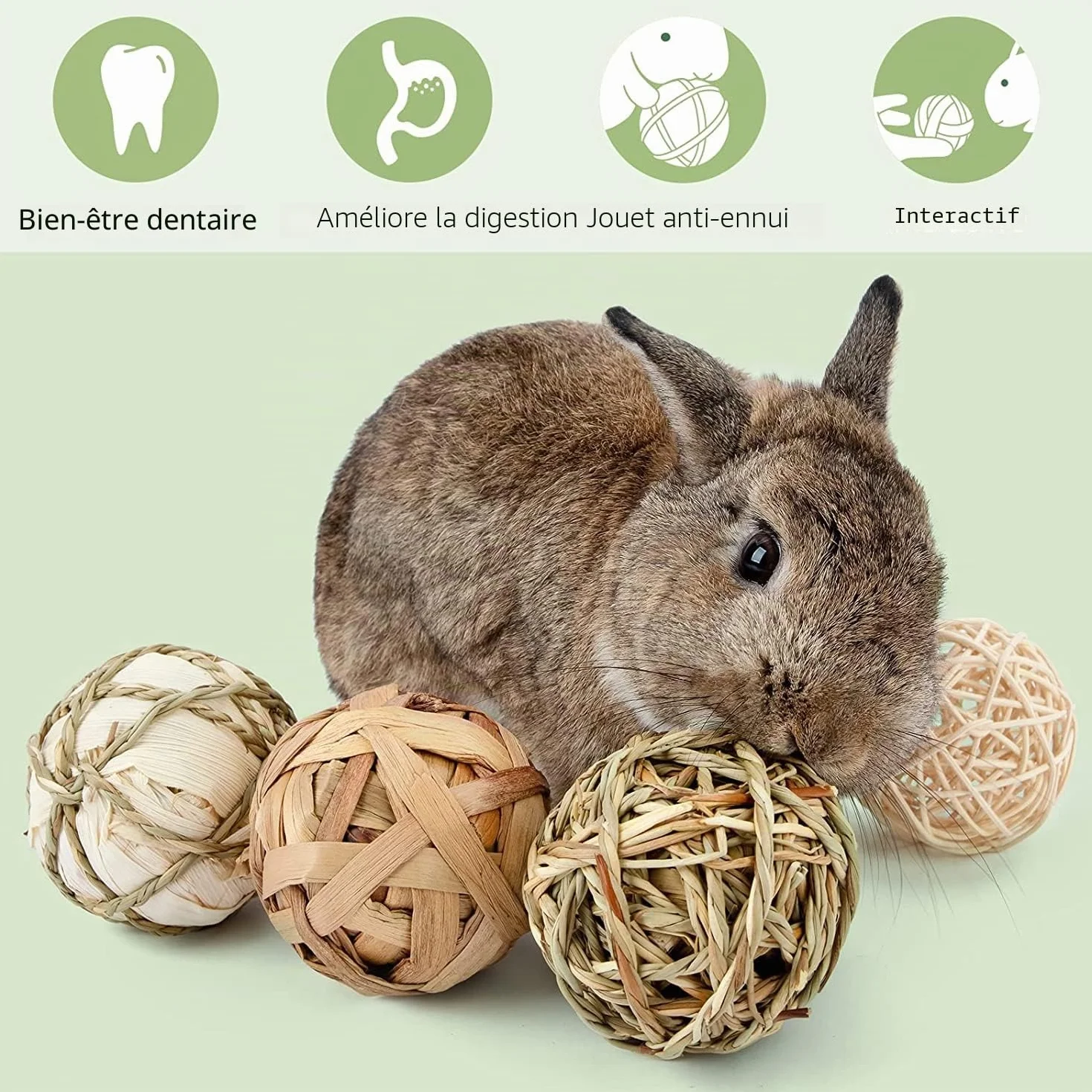 Jouets à Mâcher pour Petits Animaux, Lot de 9 Balles pour Lapins Hamster Perroquet Chinchilla Gerbille