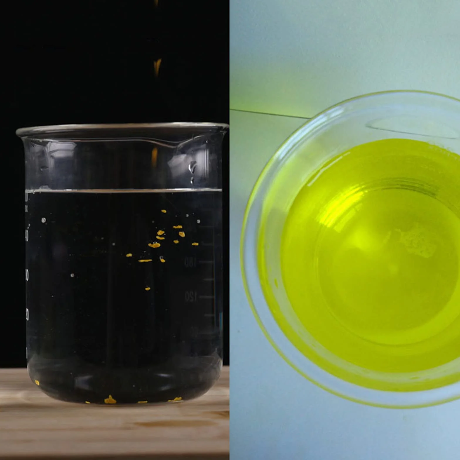 Antibiotiques pour Poissons, Médicament Traitement des Blessures, Poudre Jaune Aquarium 65g