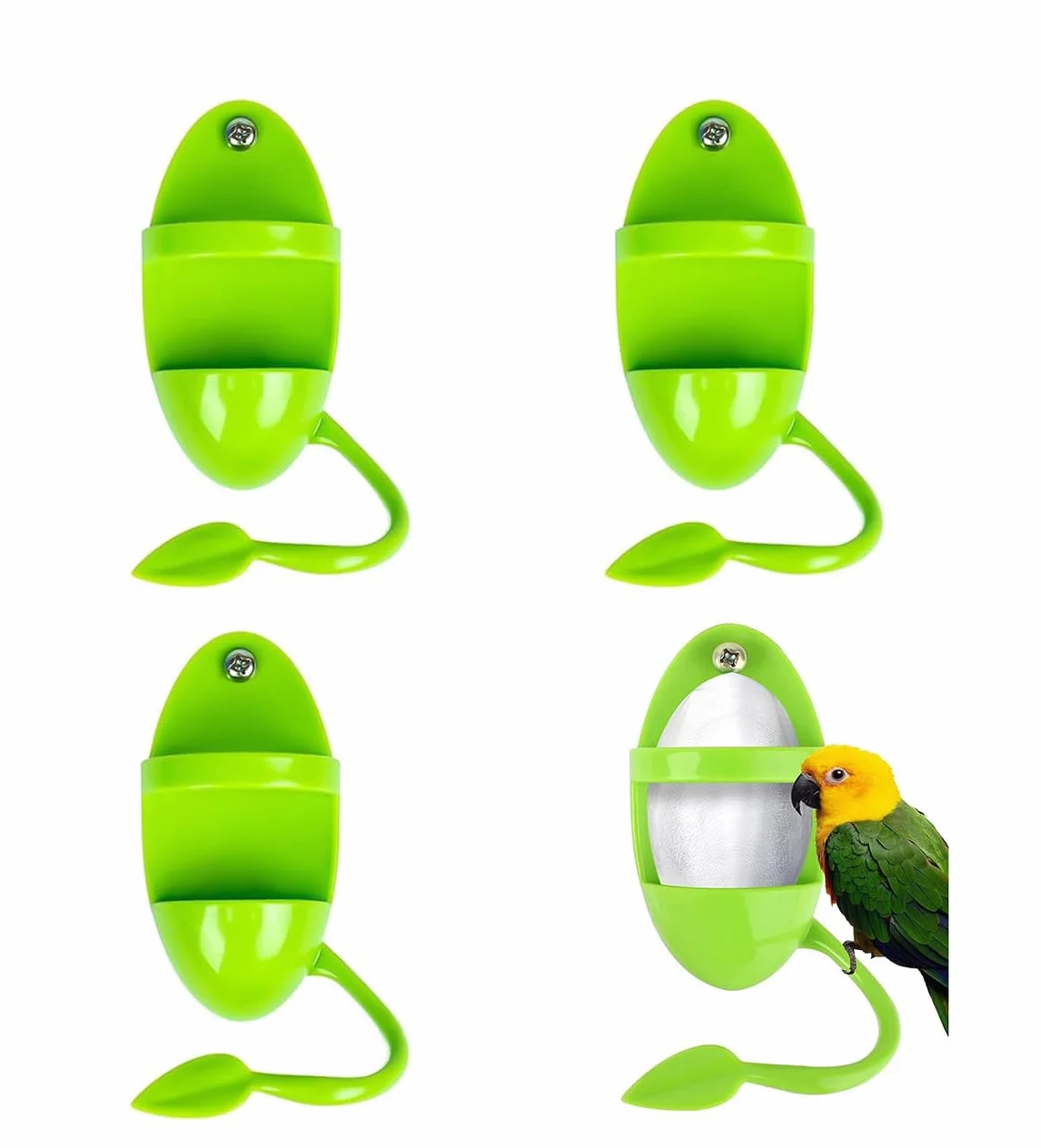 Supports pour Os de Seiche - Perche Porte-Nourriture pour Oiseaux de Compagnie