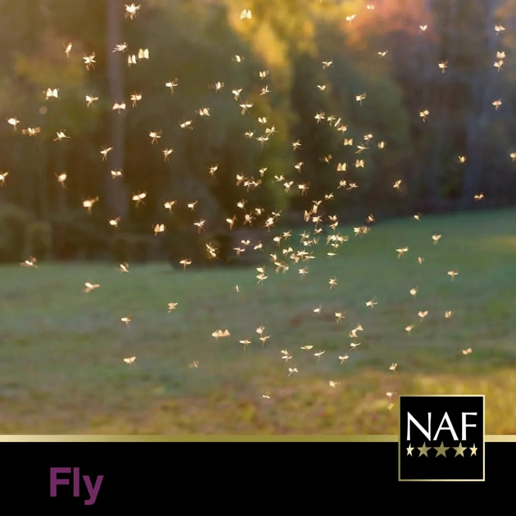 NAF Off Recharge Citronnelle 2,5 L Spray Naturel Chevaux Longue Durée