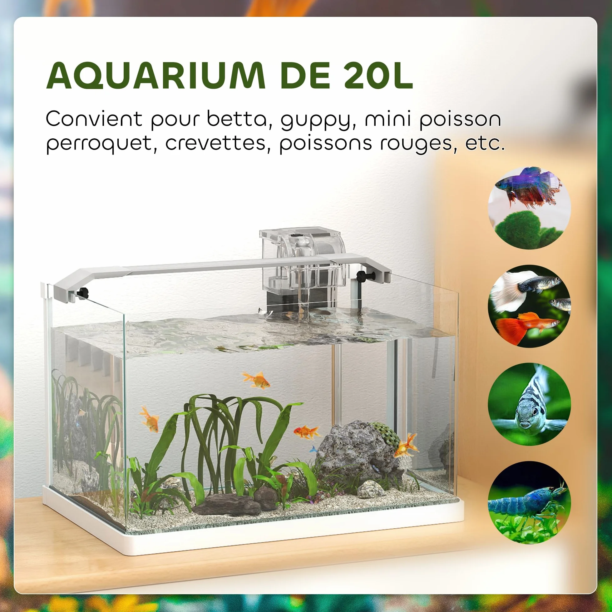 PawHut Aquarium en Verre 20L LED avec Pompe à Filtre pour Poissons