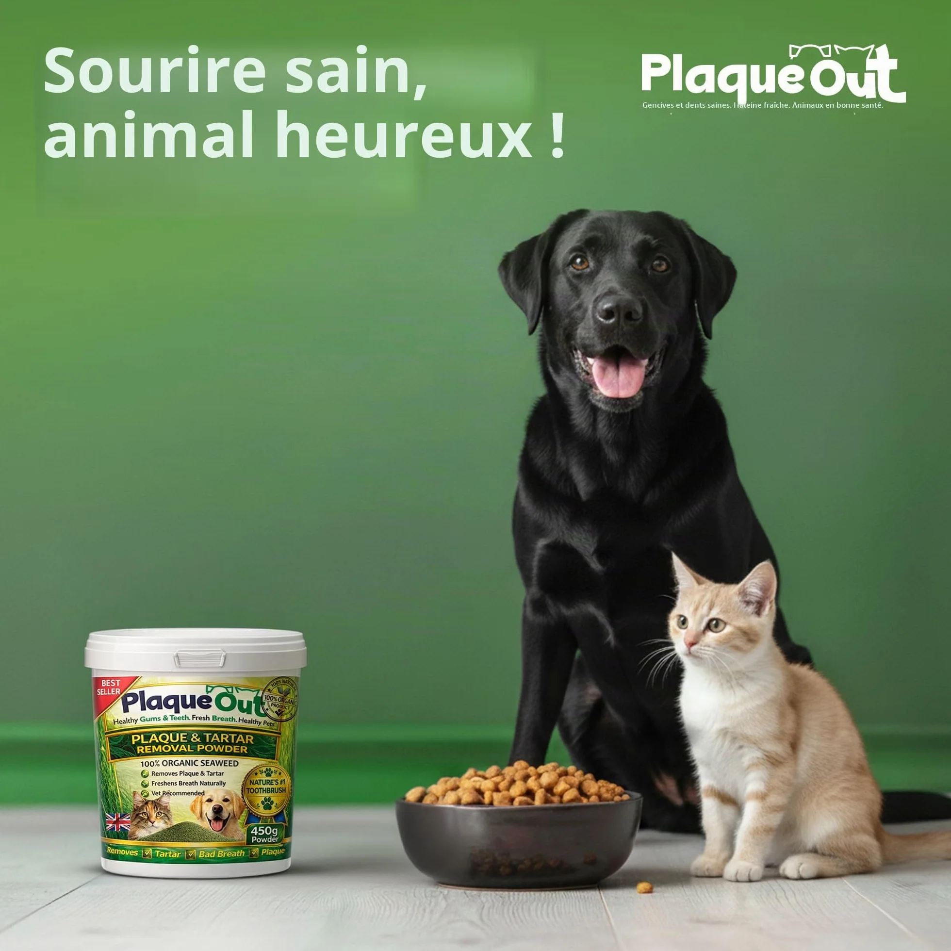 Plaque Out Pot 450 g – Détachant de plaque pour chiens et chats – Poudre d'algues 100 % naturelle et biologique