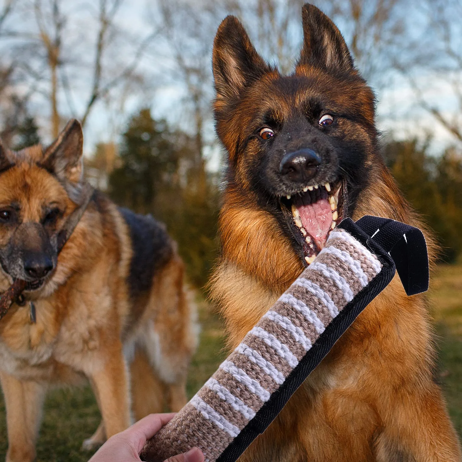 Lot de 2 Jouet Chien Indestructible Corde avec Anses pour Jeux et Entraînement