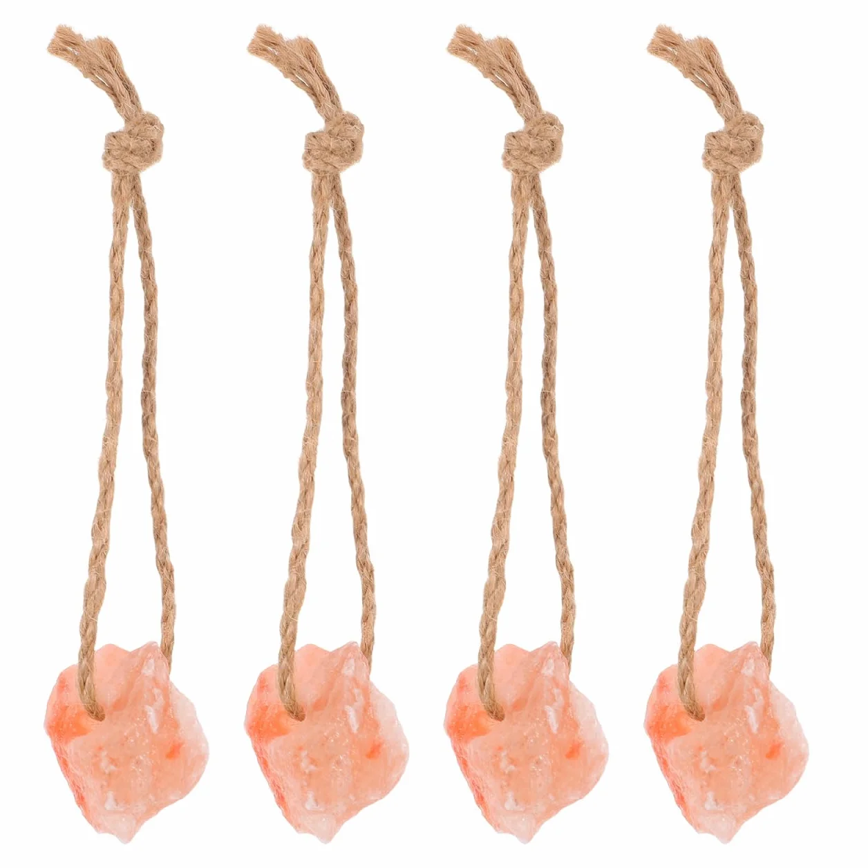 Toddmomy 4 Pièces Blocs de Sel Minéral Naturel avec Support pour Chèvres Chevaux Vaches Cerfs