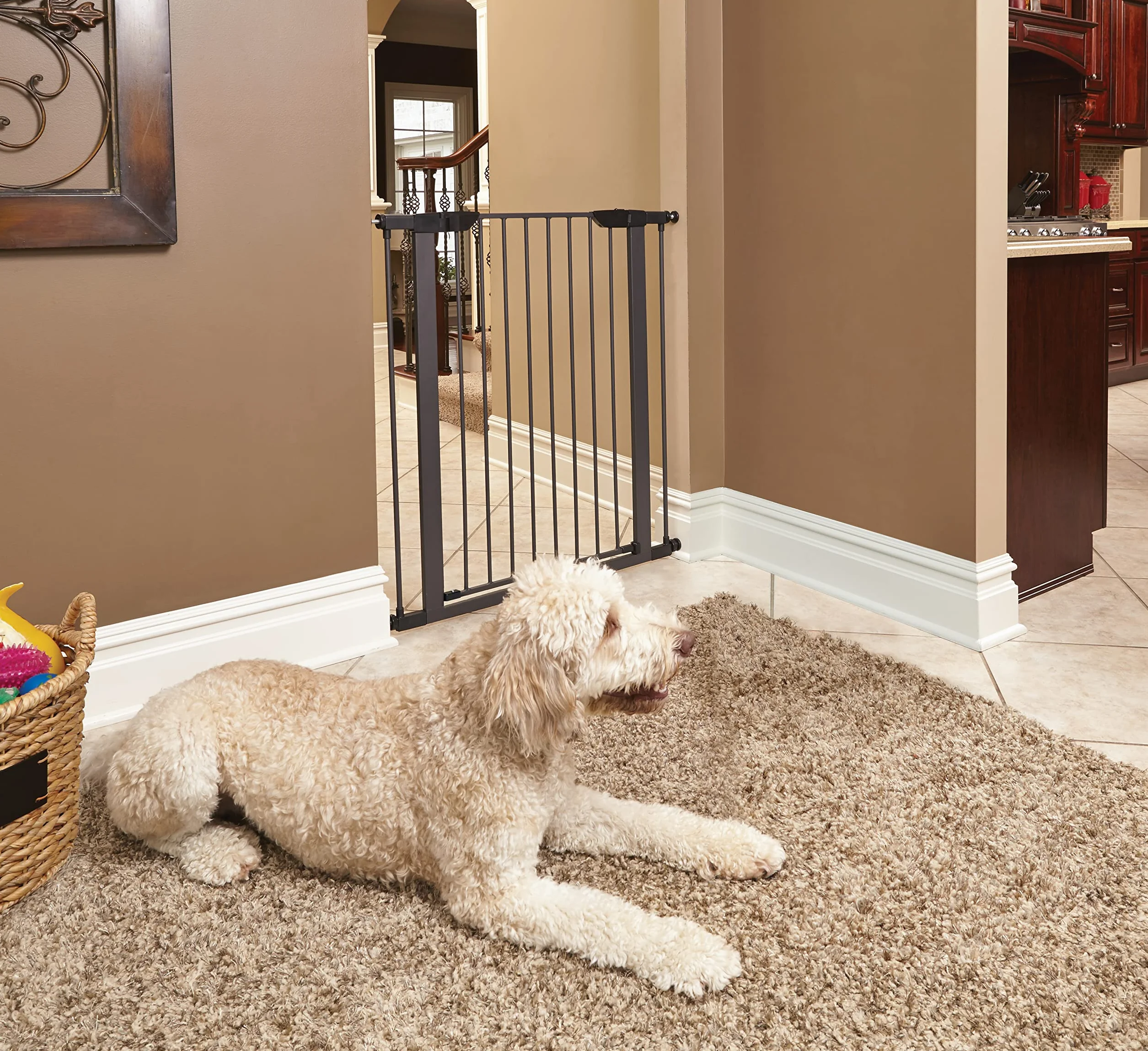 MidWest Homes for Pets 2939SG Barrière en acier 99,06 cm haut 73,66-96,52 cm large graphite texturé