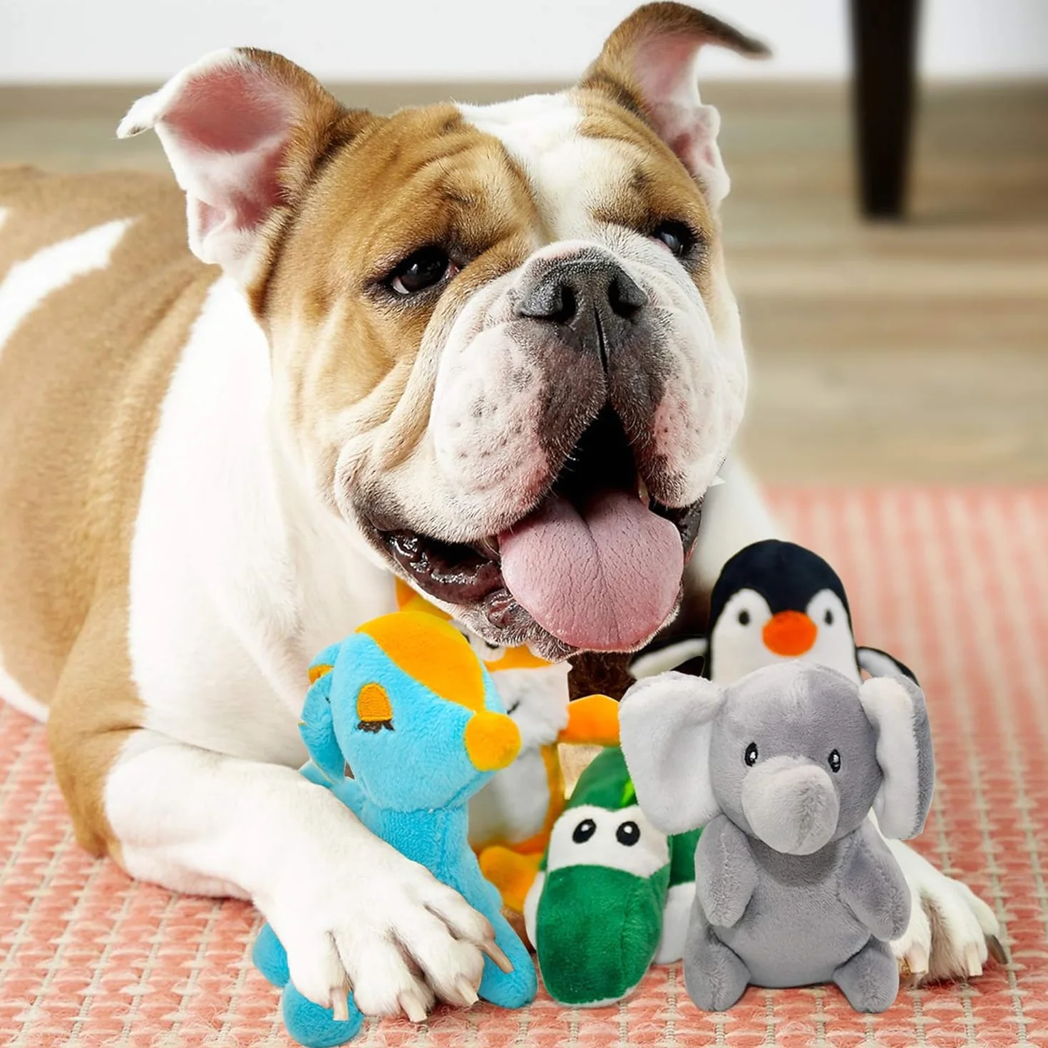 SHARLOVY jouet pour chien mousse en peluche 12P