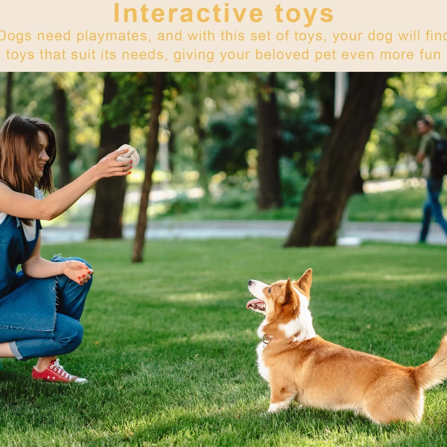 Jouet à mâcher en corde de coton pour chien, 6 pièces, interactif pour petits chiens
