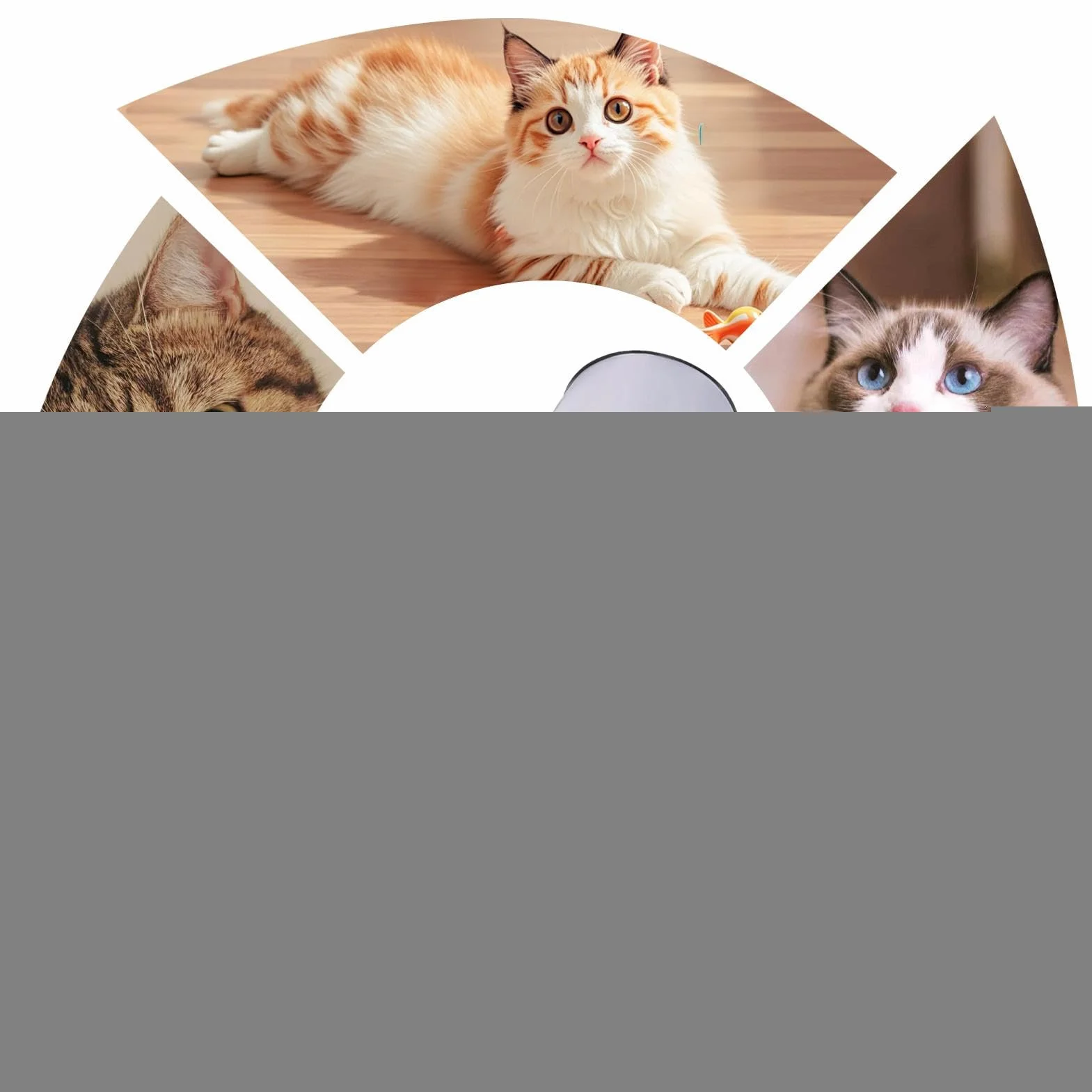 Parc de Jeu Pliable pour Chat Chien, Enclos Intérieur avec Tente Tunnel, Portable