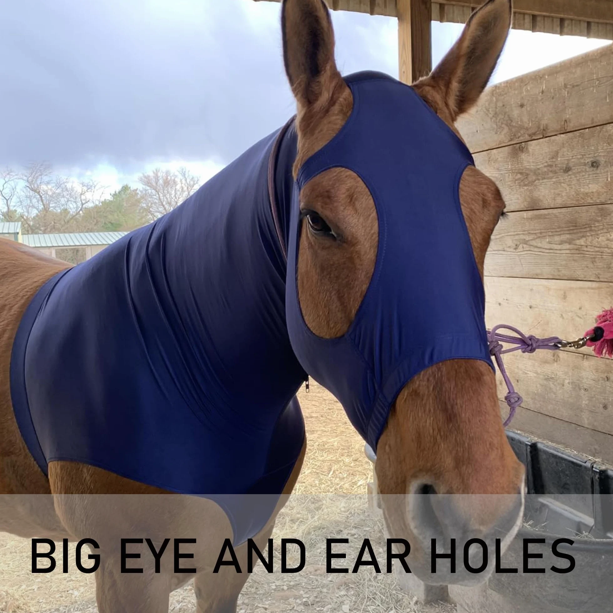 Leberna Lycra Capot de Cheval Extensible avec Zip Couverture de Cou Facial Marine XL
