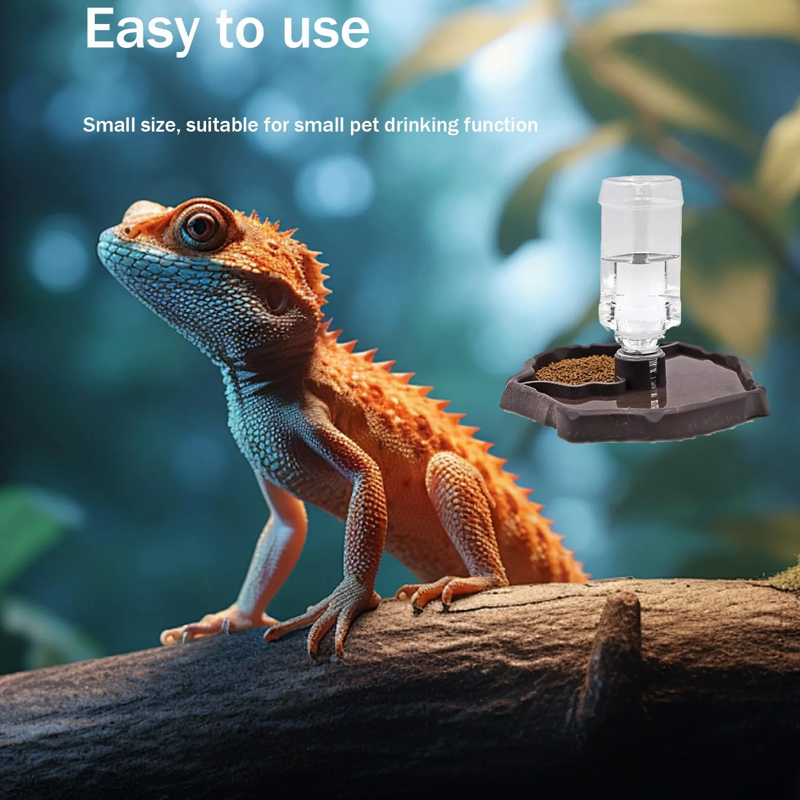 Distributeur d'eau pour Reptile 2 en 1 Anti Débordement Plastique Bol pour Tortues, Hamsters, Lézards