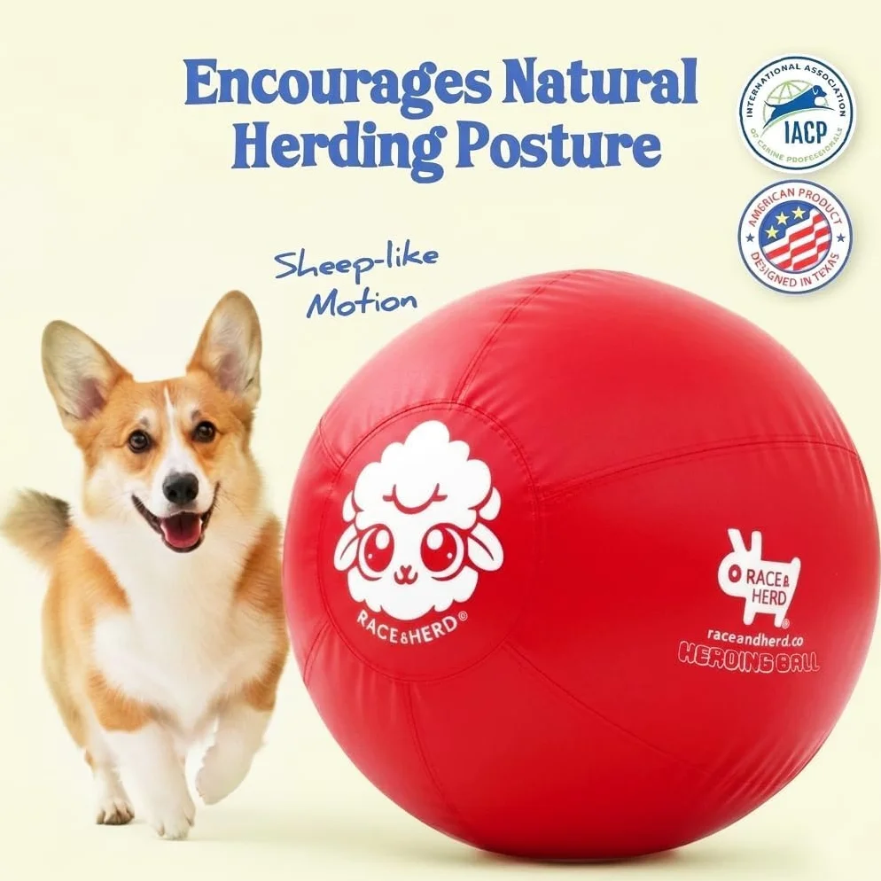 Race&Herd Balle de troupeau originale de 55,9 cm pour chiens — Balles pour | Balle de troupeau moyenne pour berger australien, Border Collie, Corgi et Blue Heeler, exercice en plein air instinct