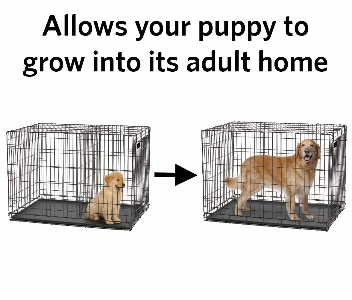 MidWest Homes for Pets Modèle 1524DPN Panneau de séparation pour cage de chien de 60,96 cm ; convient aux modèles 1524 et 1524DD, 1624, 1624DD, B24, B24DD ; revêtement de finition noir