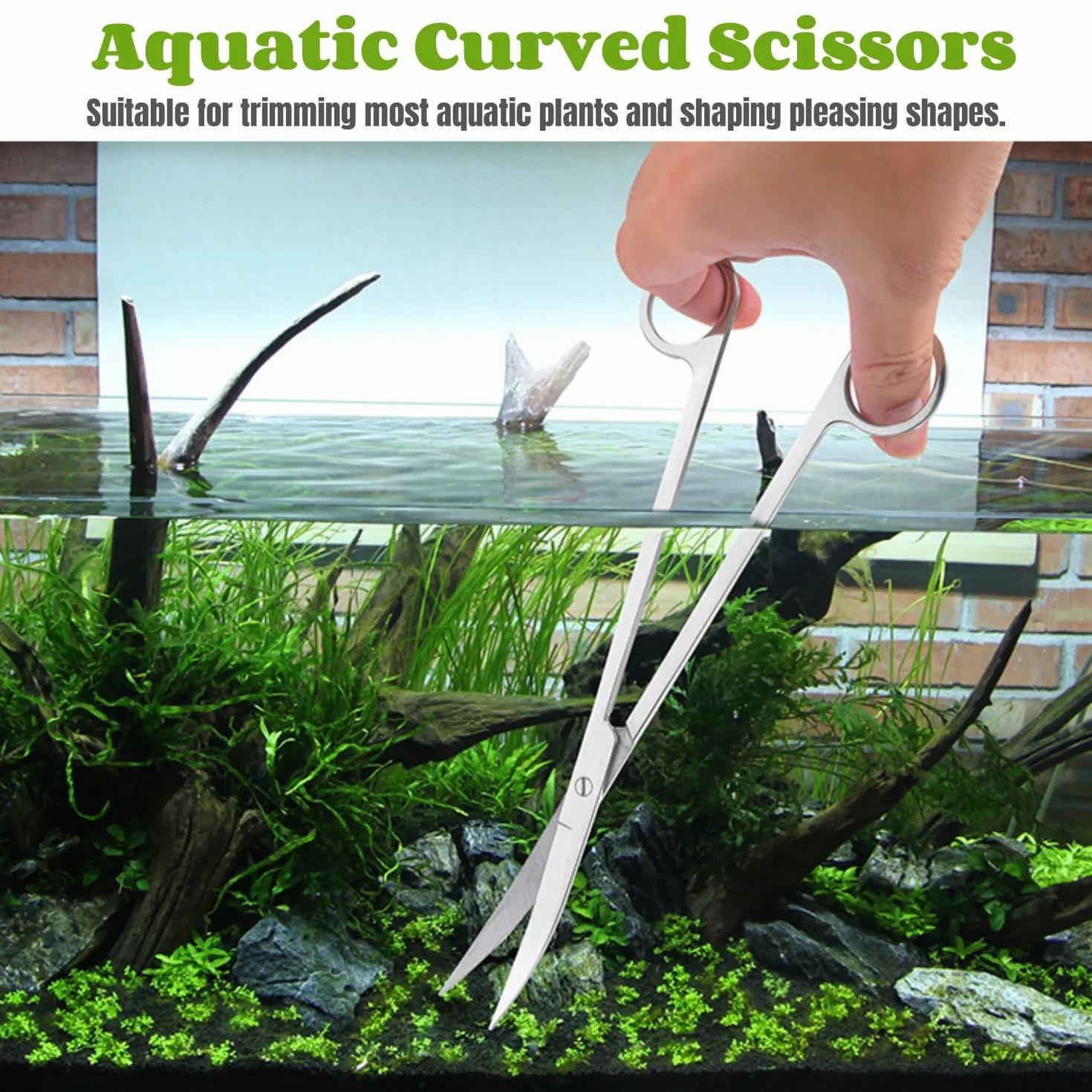 Ensemble d'outils d'aquarium en acier inoxydable - Ciseaux et pincettes pour plantes