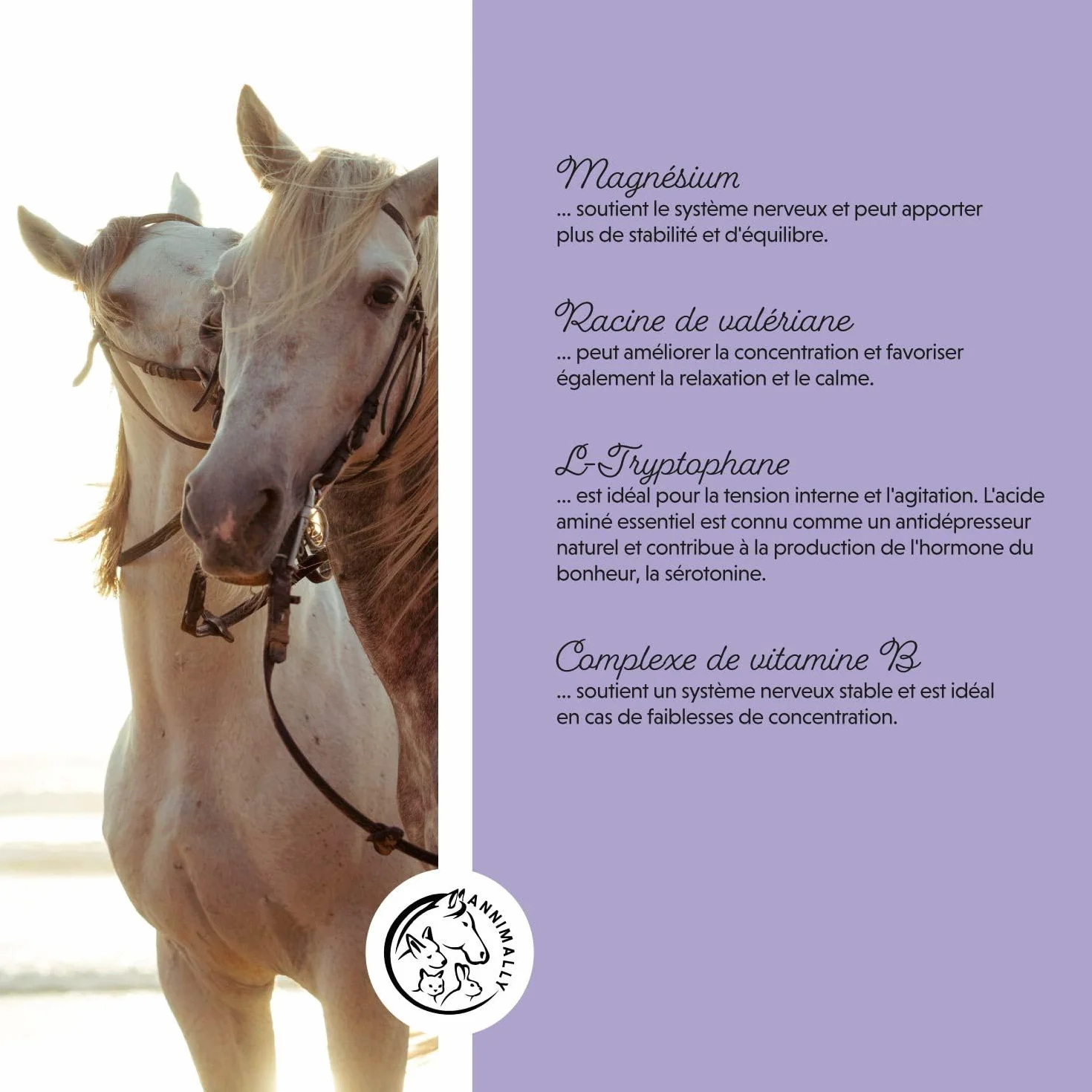 Annimally Liquide de Gattilier pour Chevaux 1000ml Ashwagandha Magnésium Racine de Réglisse