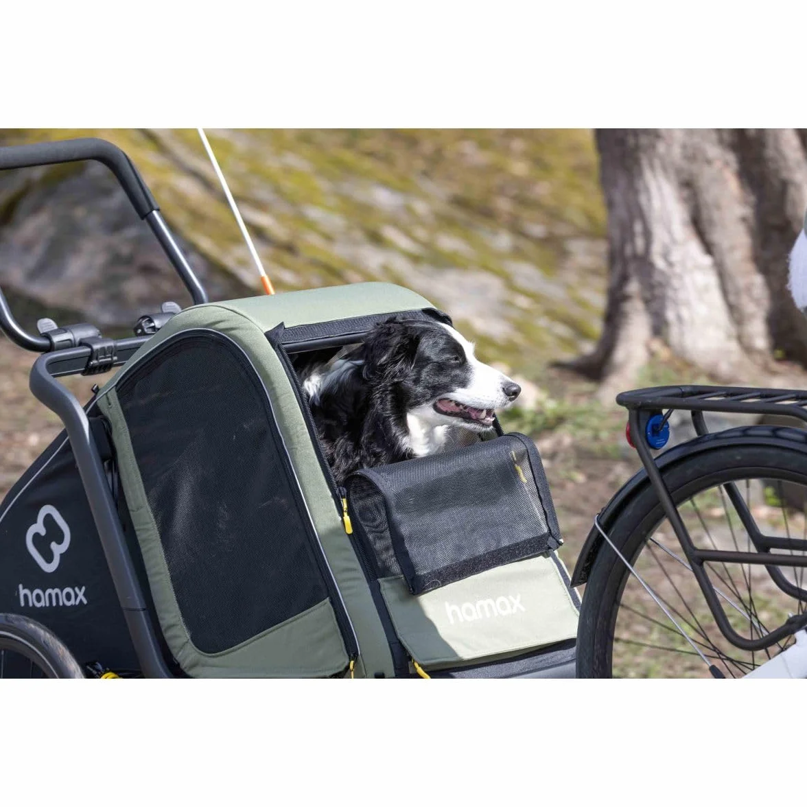 Hamax Remorque Chien Pluto Suspension 3 Positions Kit Poussette Inclus Charge Max 35 kg L 45 kg Sécurité Confort