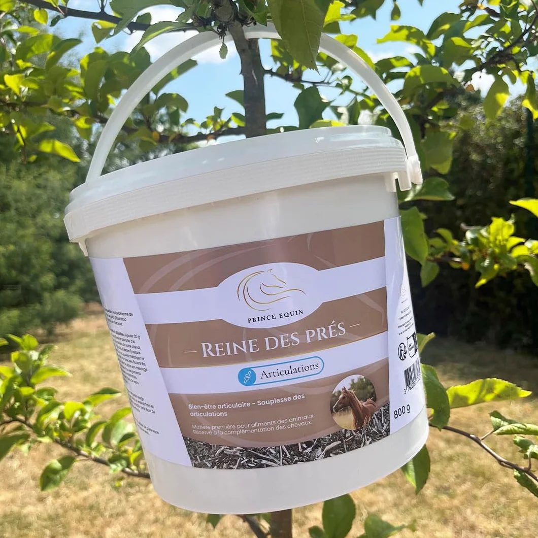 Reine des PRÉS Complément nutritionnel Cheval Seau 800 g Confort articulaire