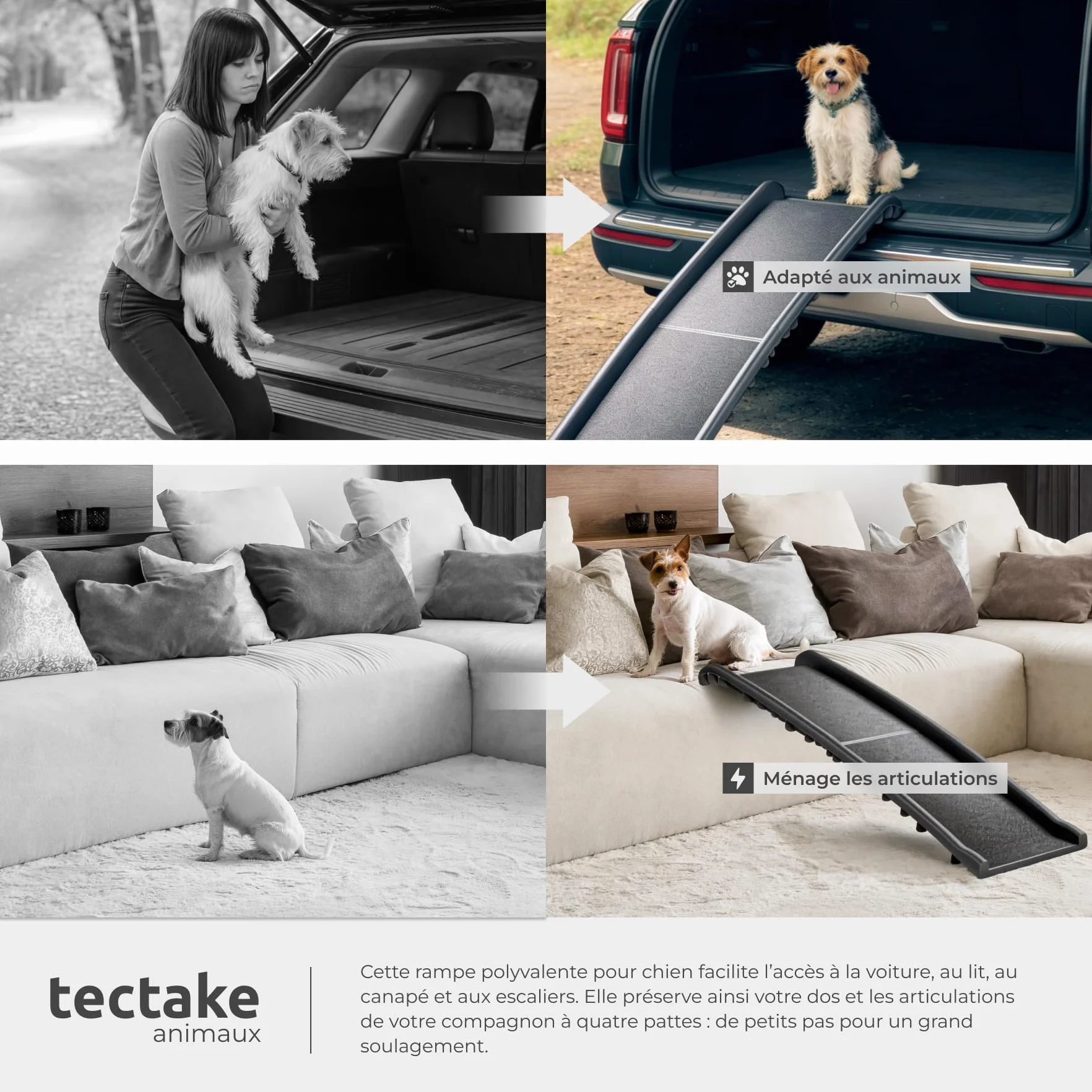 Tectake Rampa Pliable Antidérapante Escalier Voiture Canapé Coffre Max 90 kg