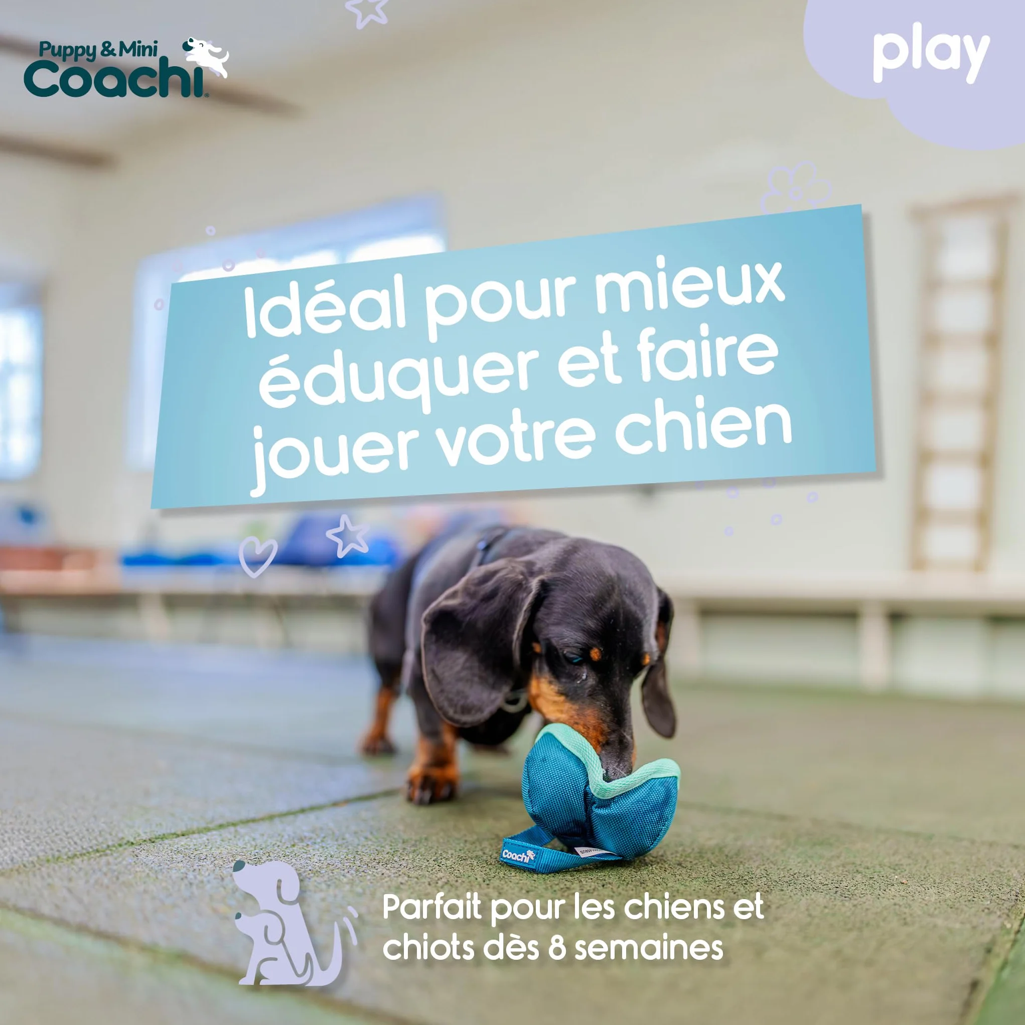 Coachi Chase & Treat pour Chiens et Chiots - Jeux de Poursuite, éducation à Distance et agilité