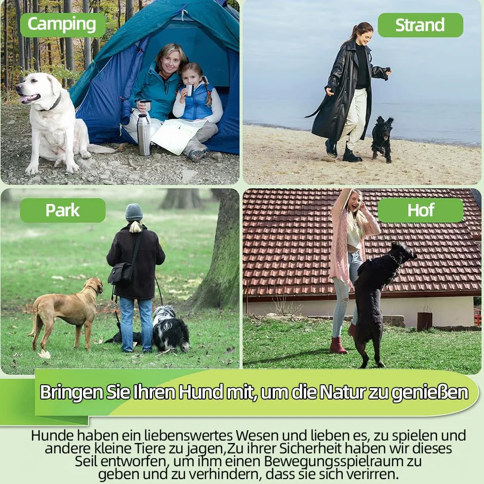 Laisse pour chien anti-mastication 6 m, taille moyenne et grande, vert
