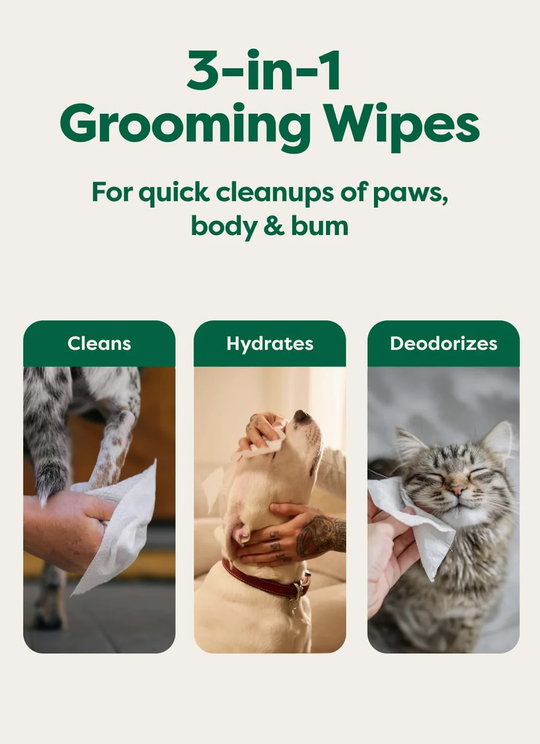 Earth Rated Lot de 200 lingettes désodorisantes pour pattes et fesses – Thé blanc et basilic – Pour chiens