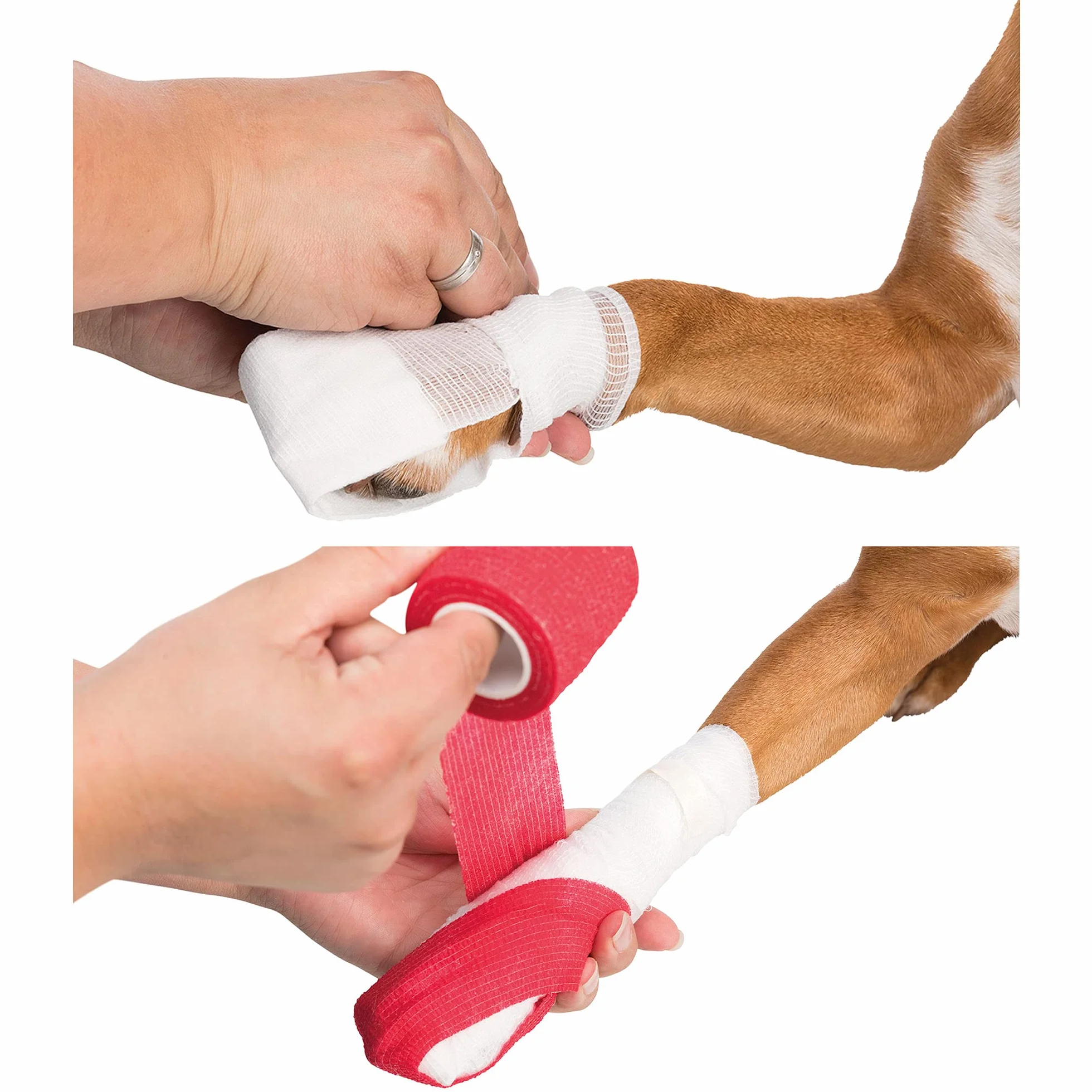 Trixie Set de Premier Secours pour Chien et Chat, 1 Unité