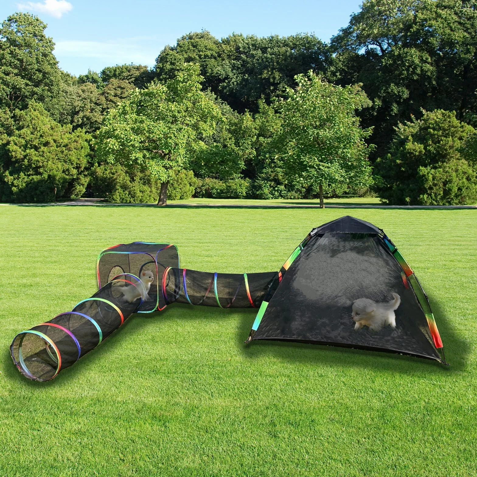 Homegroove Enclos d'extérieur 4 en 1 pour chat - Portable - Tente et tunnel