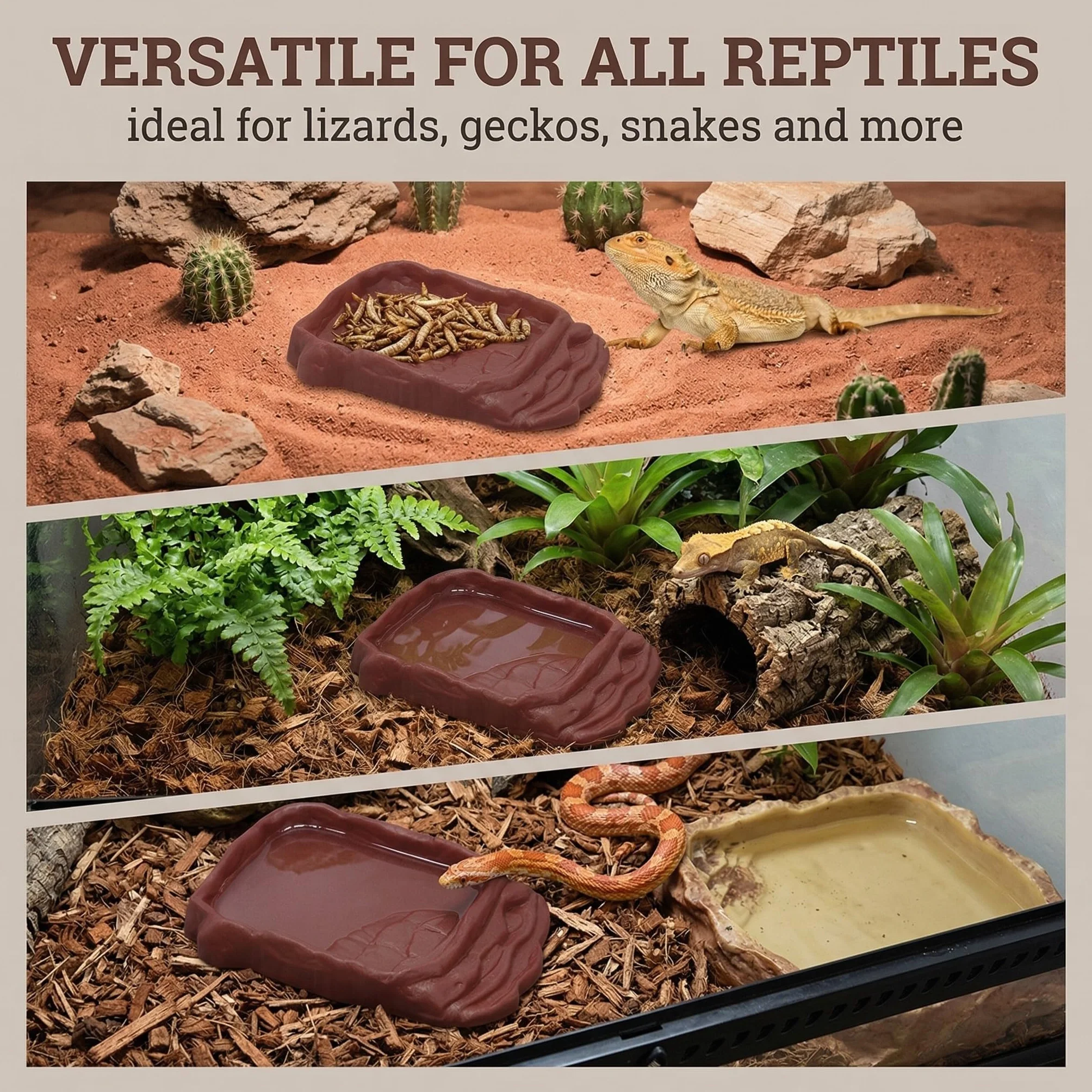 Bacs à Nourriture et à Eau en Pierre Simulée pour Tortues Reptiles Terrarium Marron 2 cm