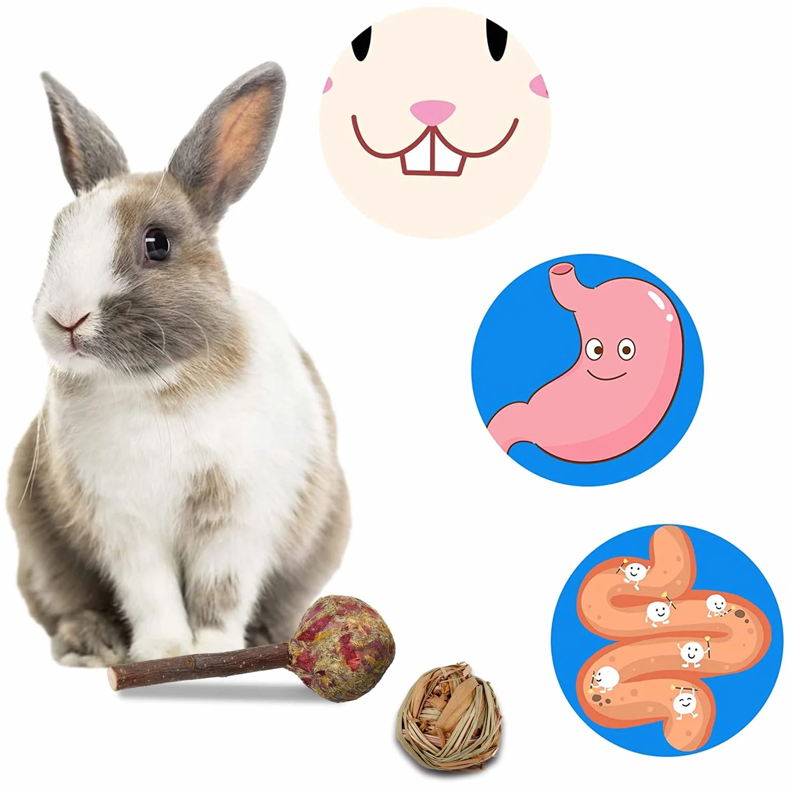 Jouet pour Lapin 17 Pcs Accessoire à Mâcher pour Cochon d'Inde Hamster Chinchilla Gerbille