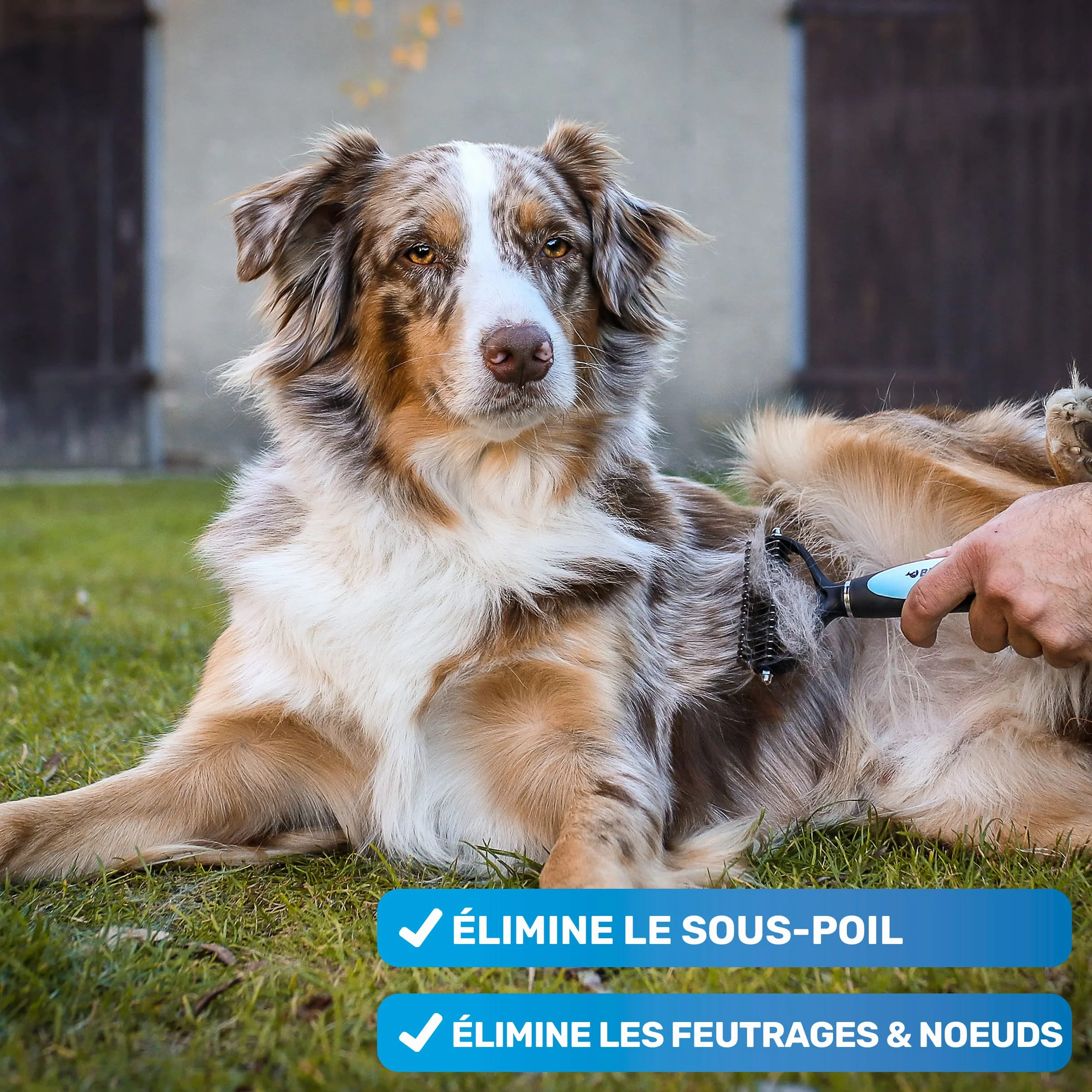 BluePet Brosse Chiens Chats Poil Long Peigne Démêlage Professionnel Sous Poil Nœuds Étrille Démêlant Râteau Toilettage
