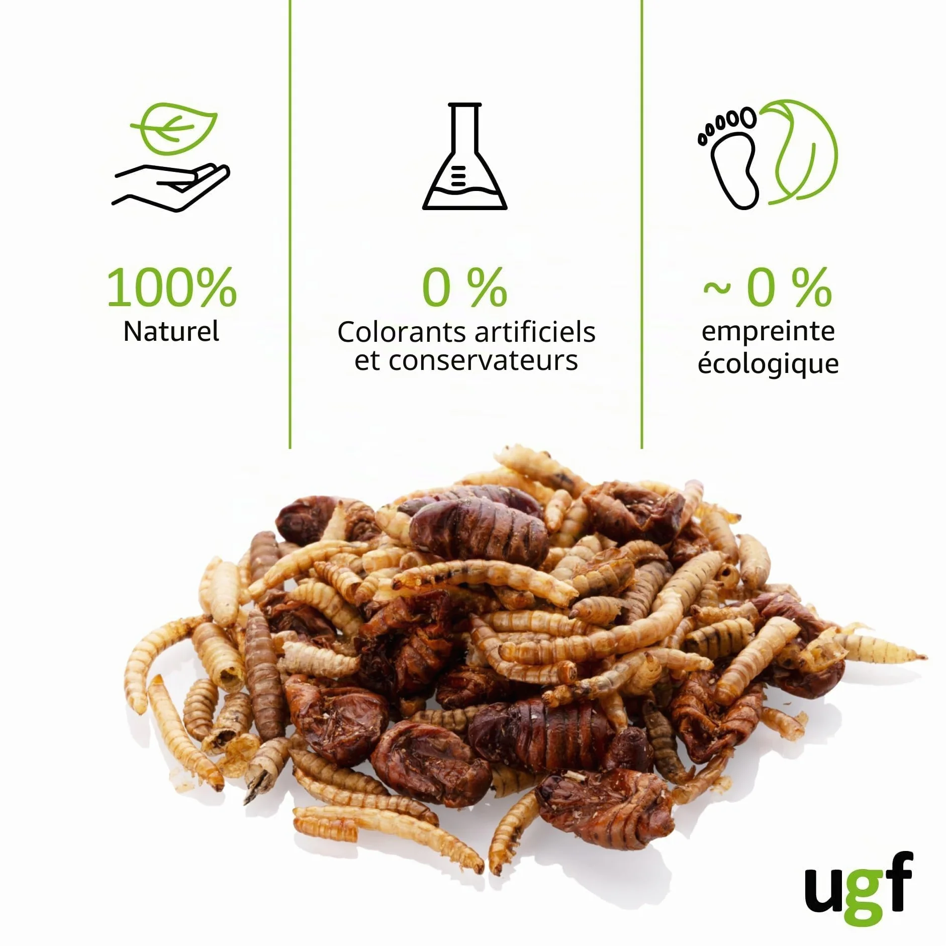 UGF Mélange pour Insectes 80g Seau 500ML Nourriture pour hérissons gerbilles Hamsters Rats lézards