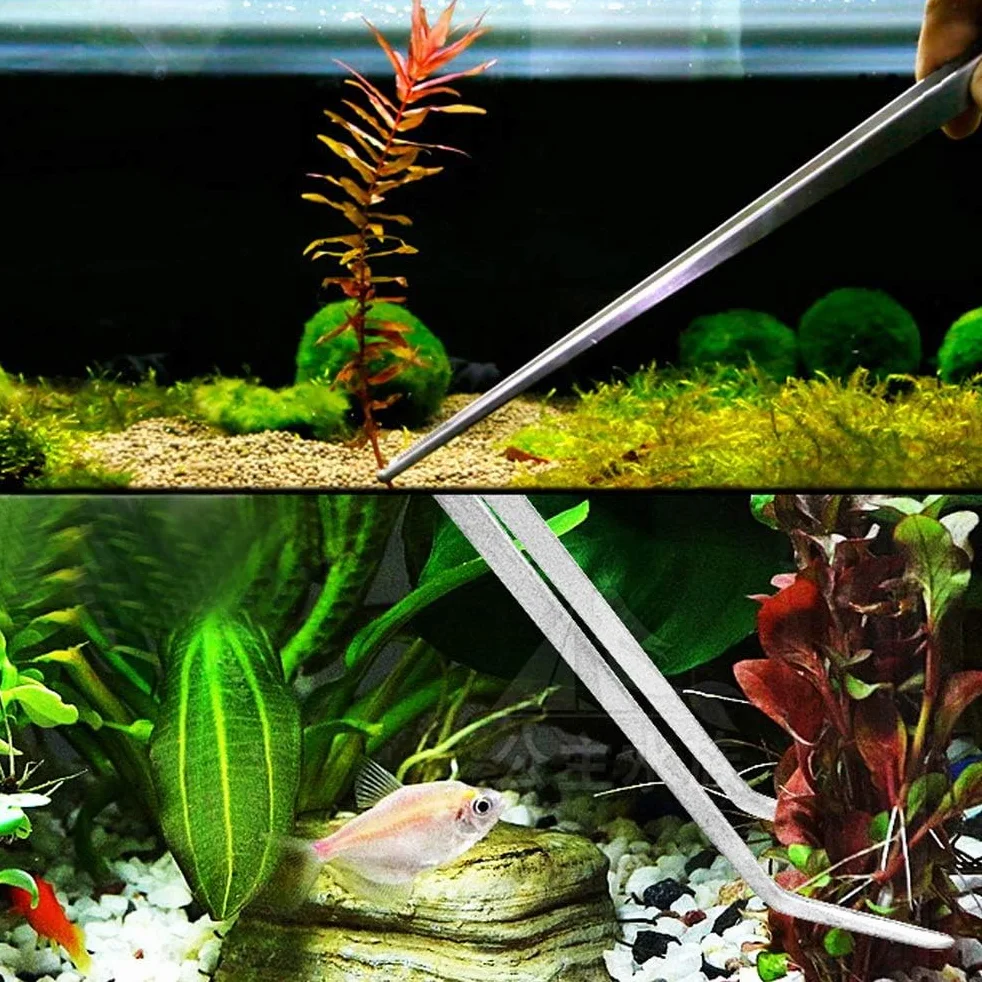 Aquarium Kit Outil Accessoires en Acier Inoxydable, 3 Pack Poisson Starter Kits