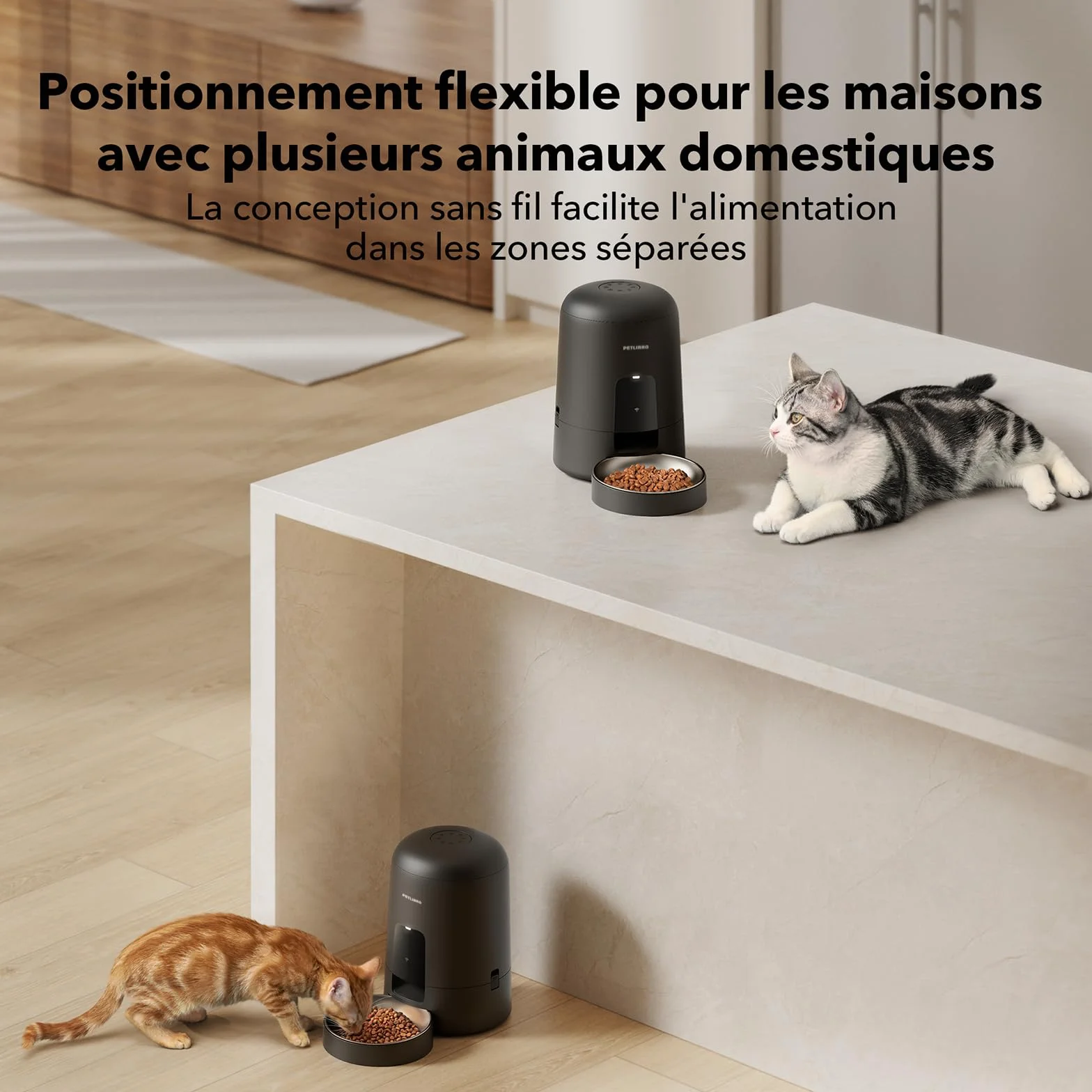 PETLIBRO Distributeur Croquettes Chat Automatique WiFi 2,4G Batterie Rechargeable 30 Jours 10 Repas 2L Noir